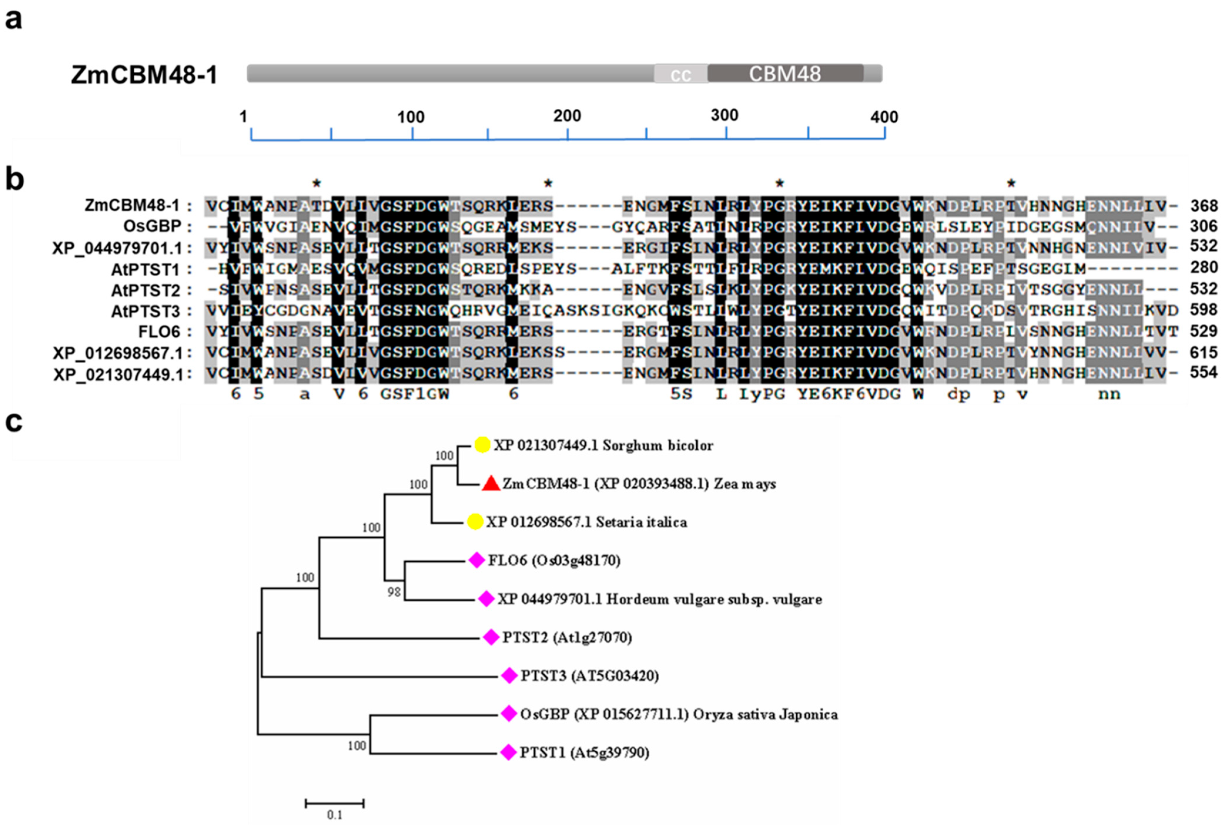 Ijms 23 06598 g001 Ijms 23 06598 g001