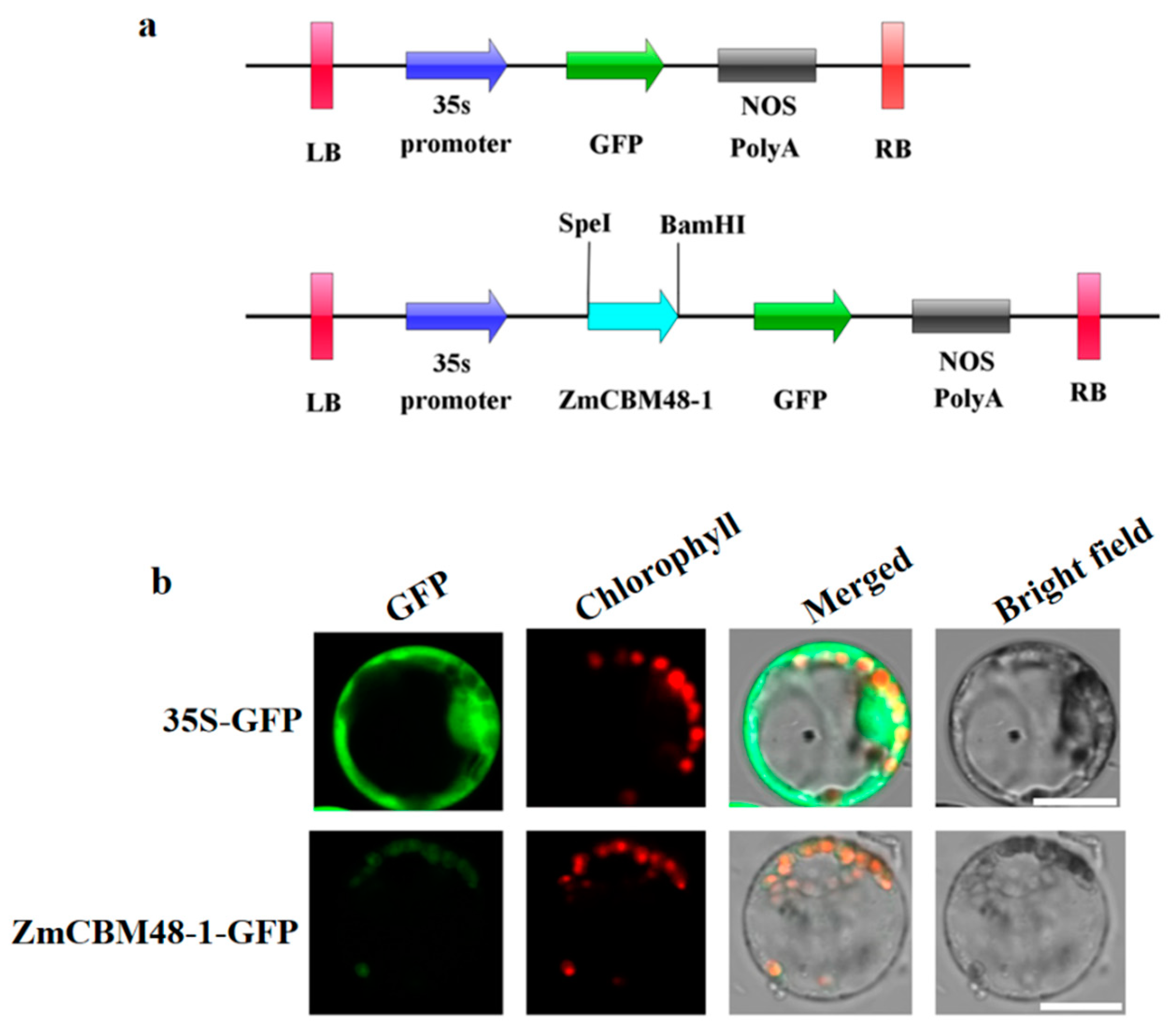 Ijms 23 06598 g003 Ijms 23 06598 g003