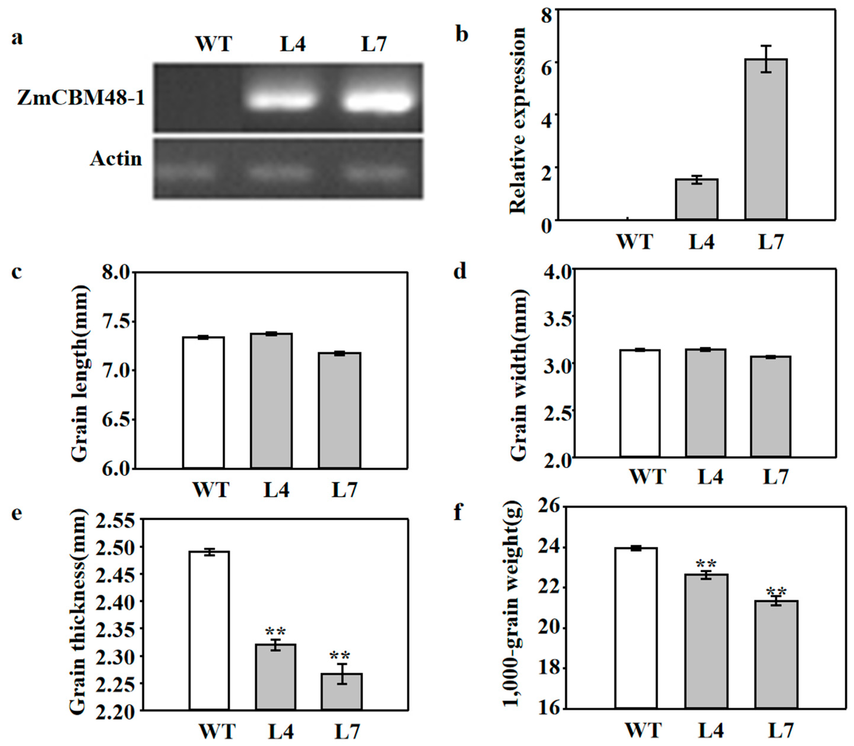Ijms 23 06598 g004 Ijms 23 06598 g004