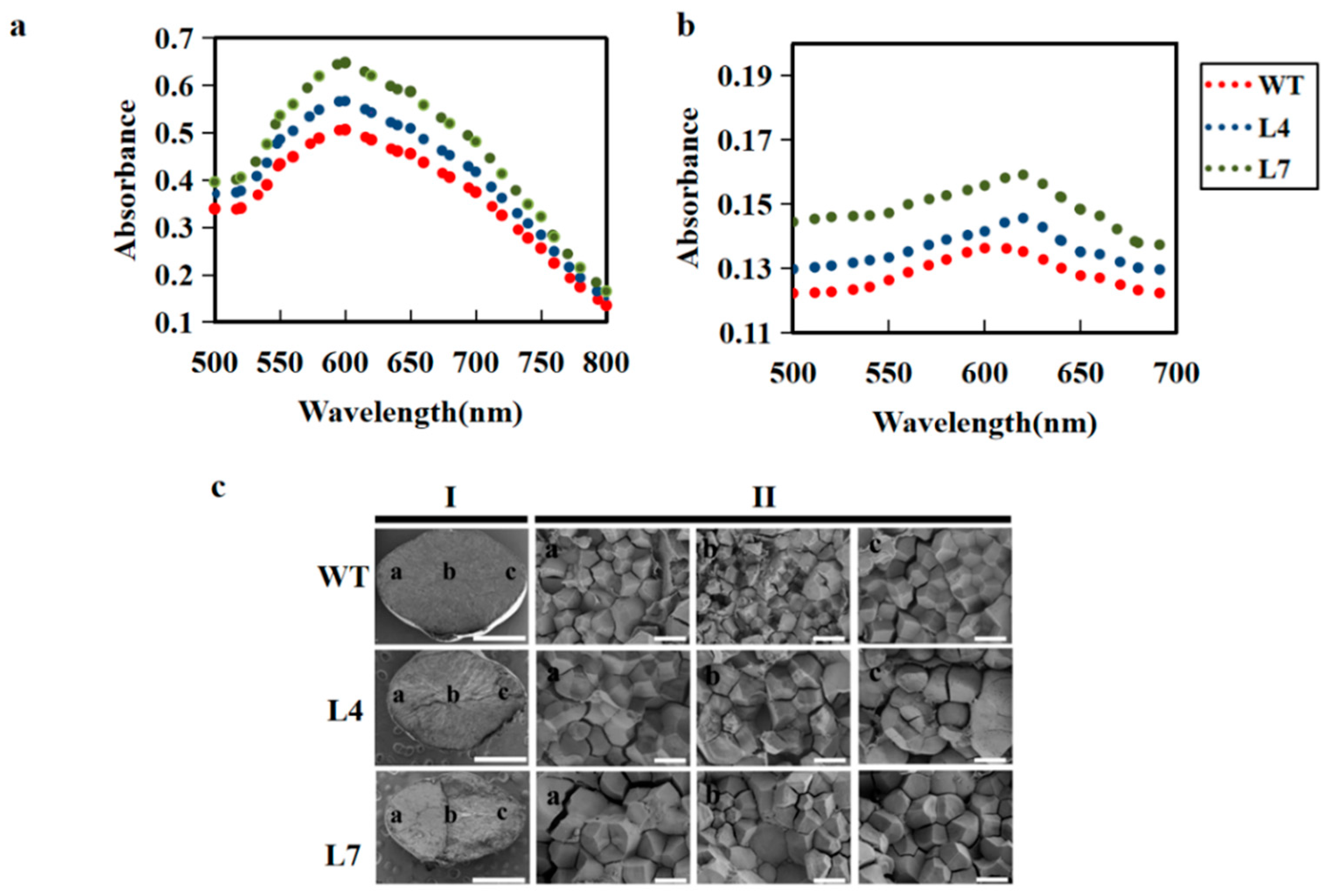 Ijms 23 06598 g006 Ijms 23 06598 g006