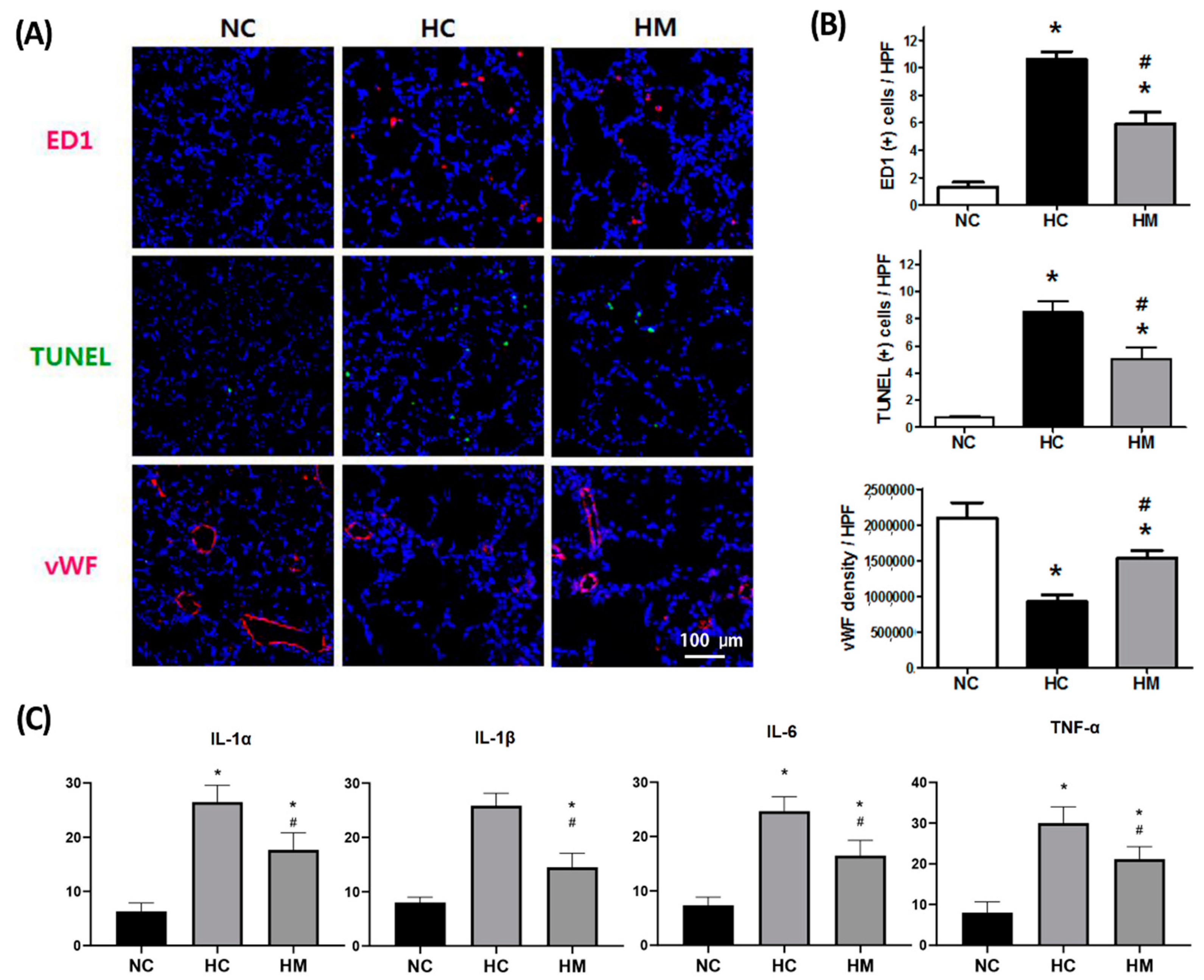 Ijms 23 06601 g002 550