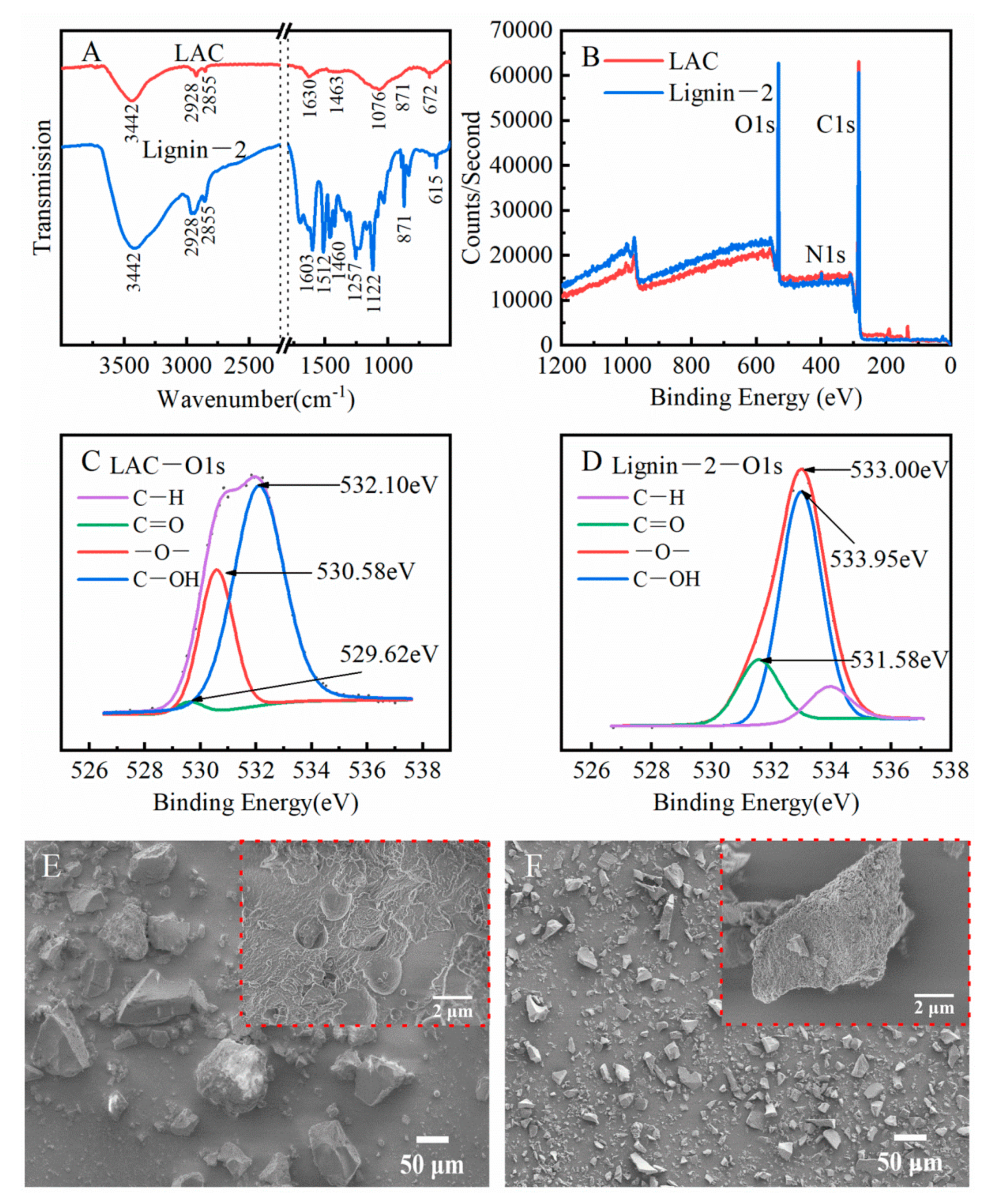 Ijms 23 06617 g005 550