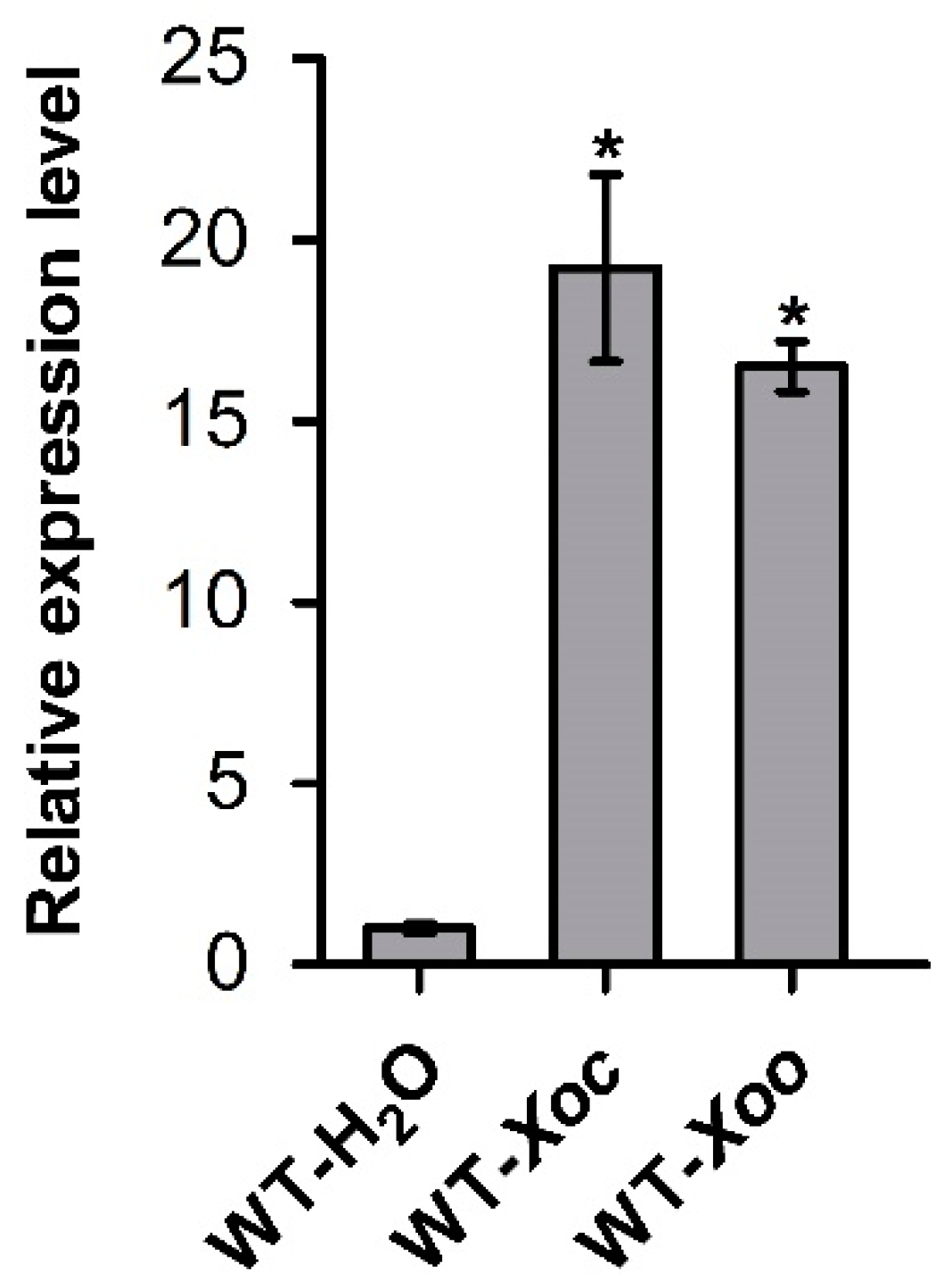 Ijms 23 06622 g001 550