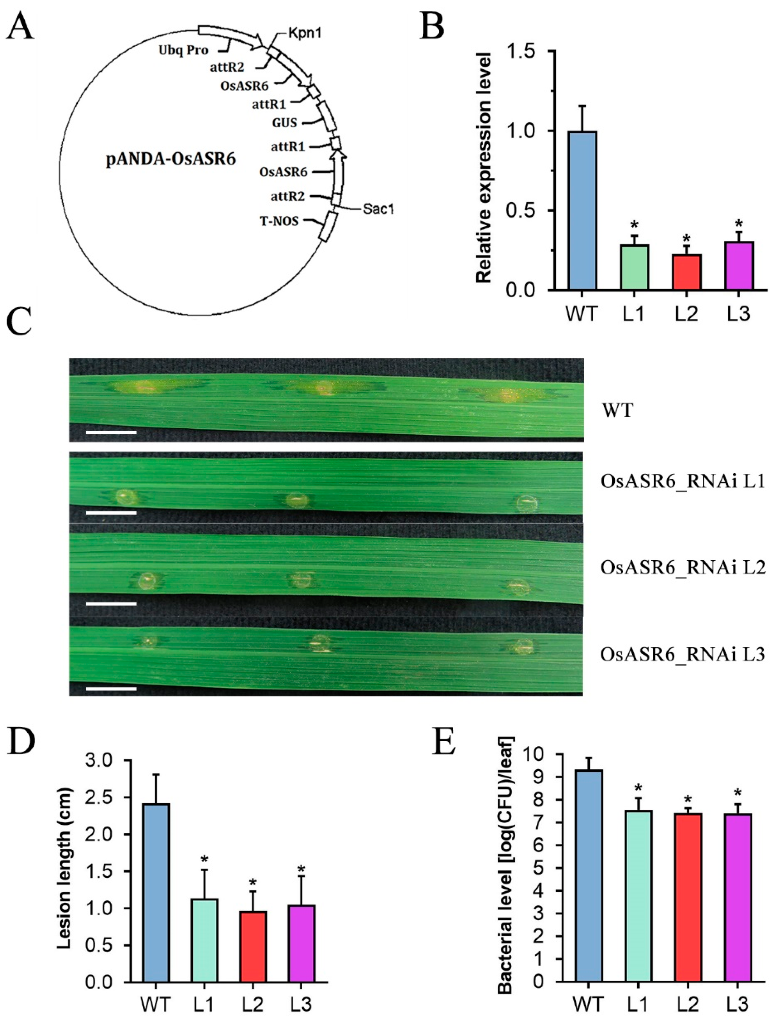 Ijms 23 06622 g002 550