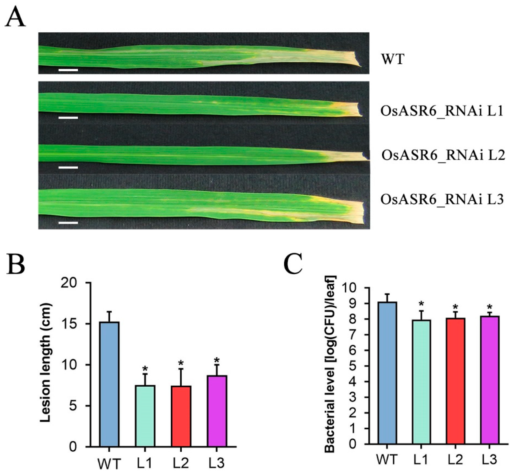 Ijms 23 06622 g003 550