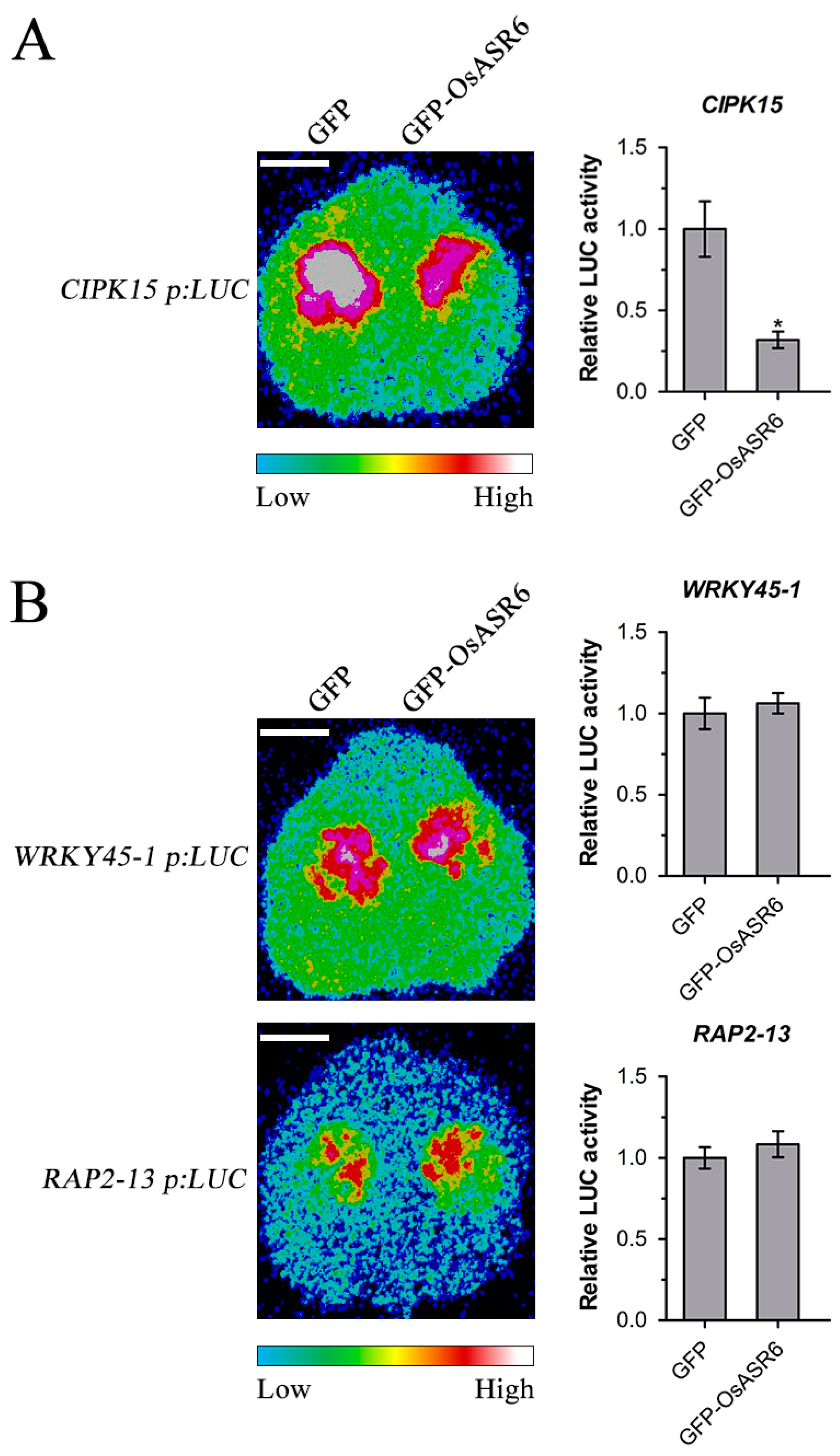 Ijms 23 06622 g006 550