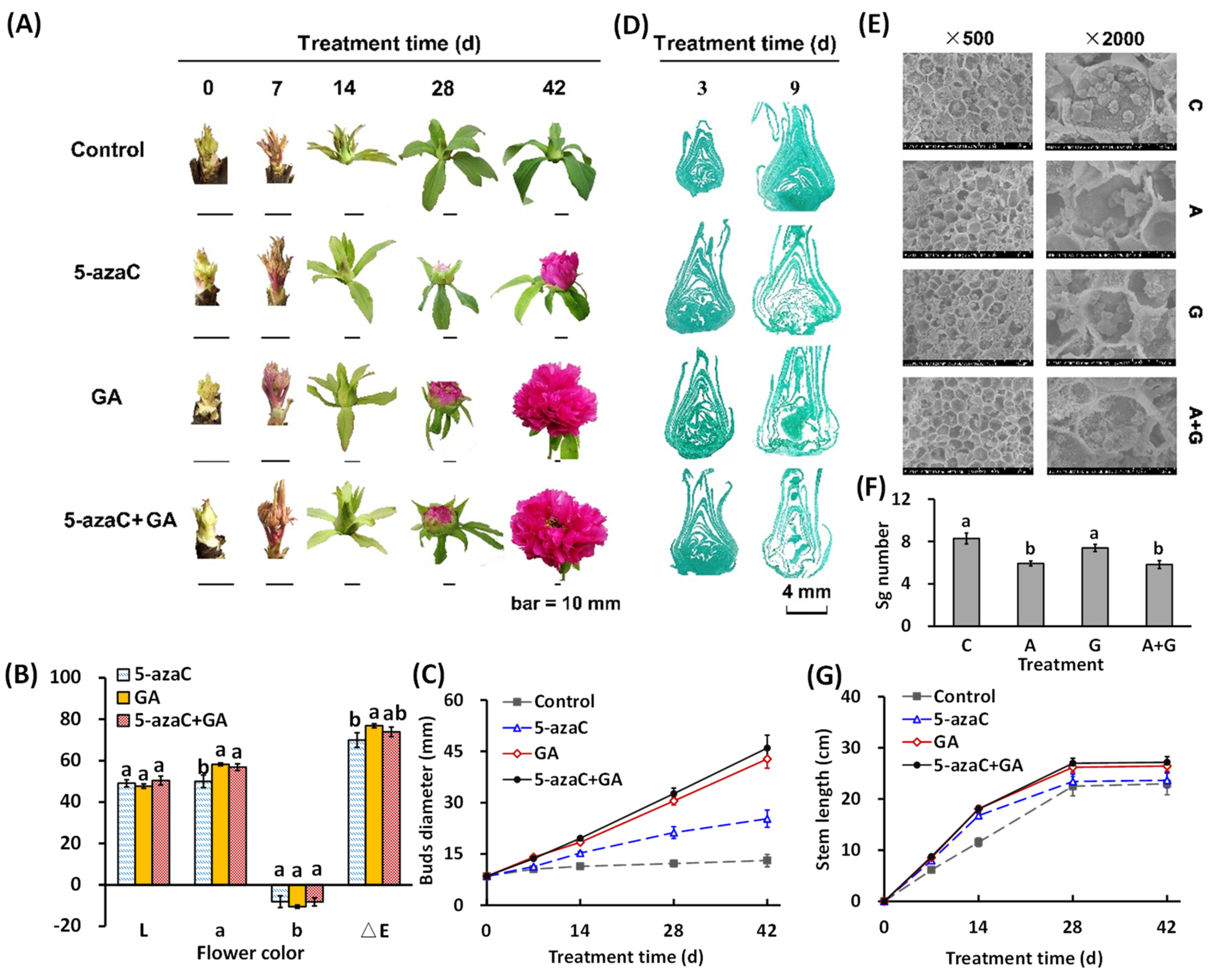Ijms 23 06632 g001 550