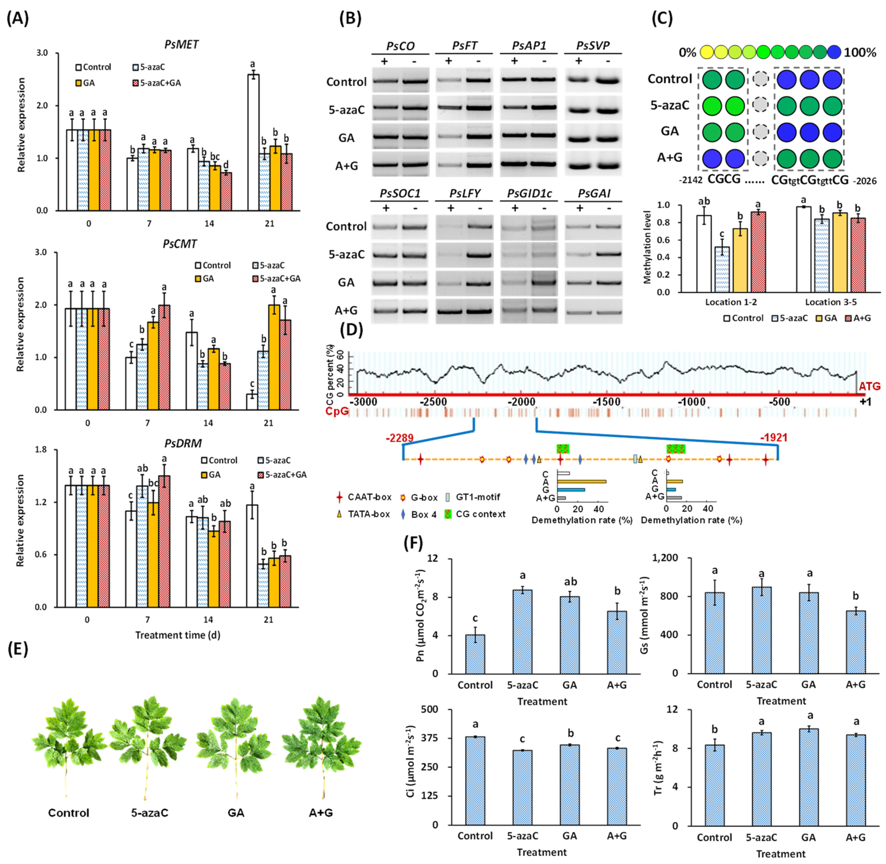Ijms 23 06632 g004 550