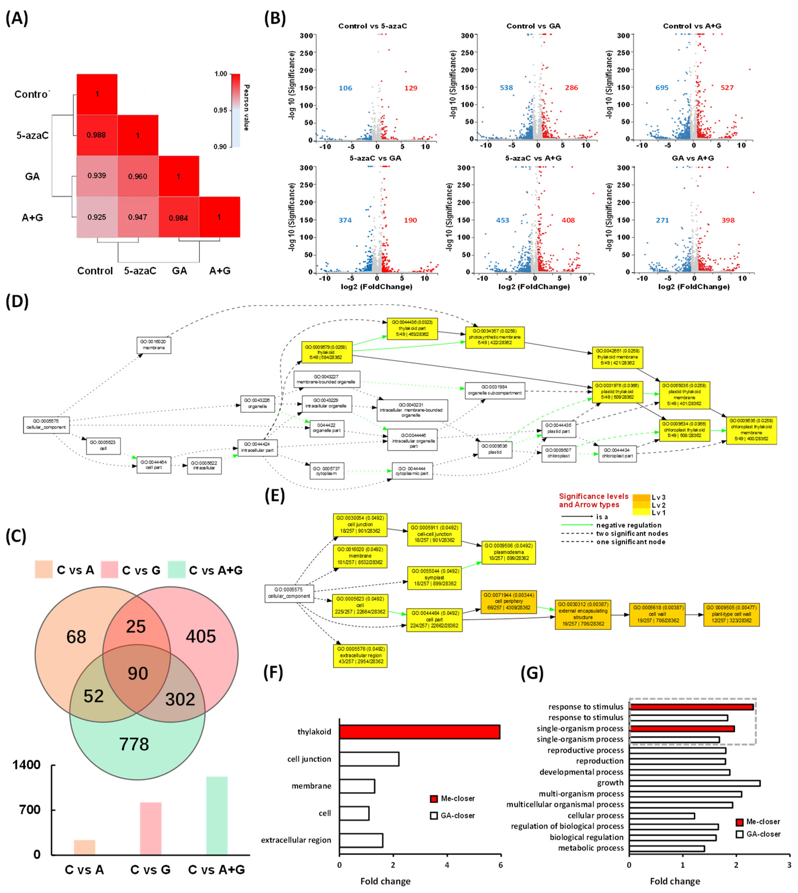 Ijms 23 06632 g005 550