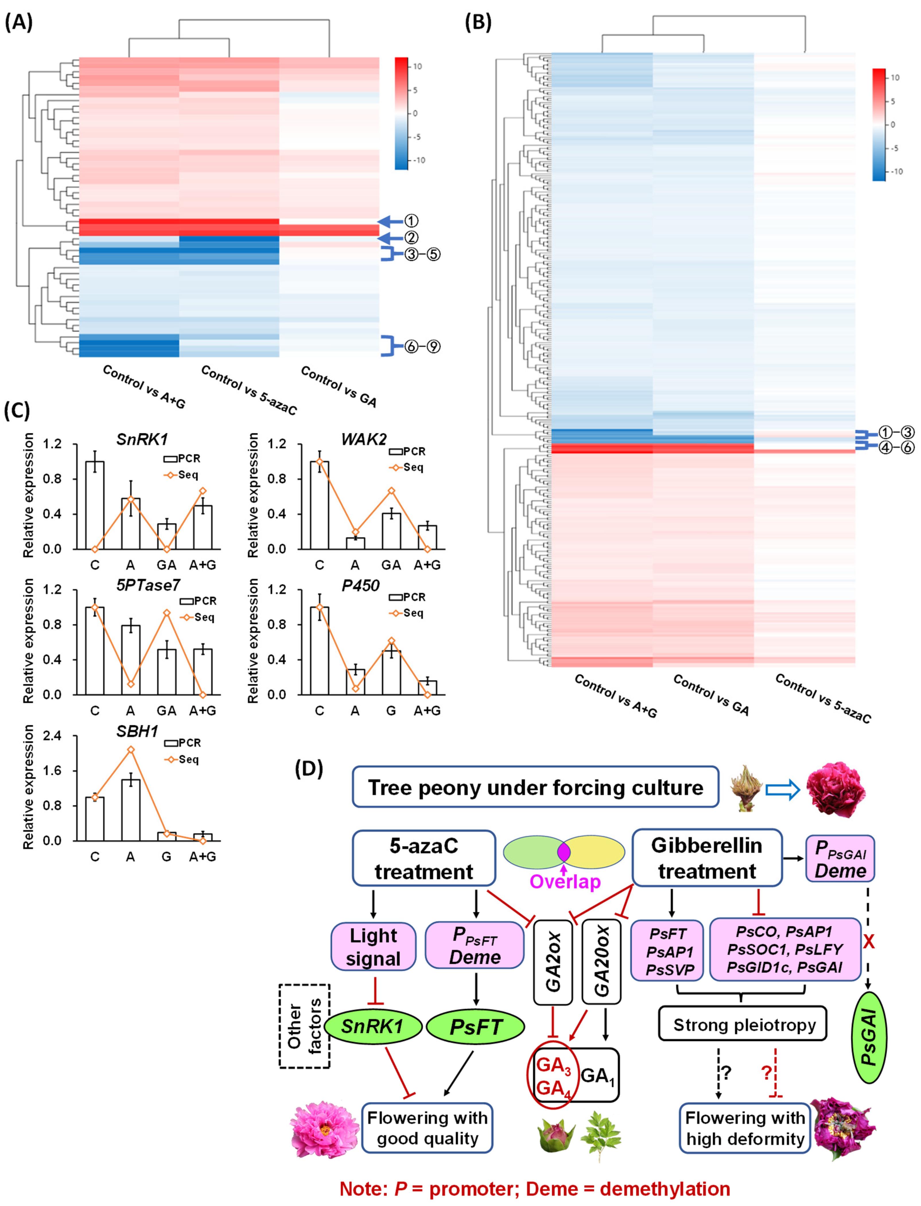 Ijms 23 06632 g006 550