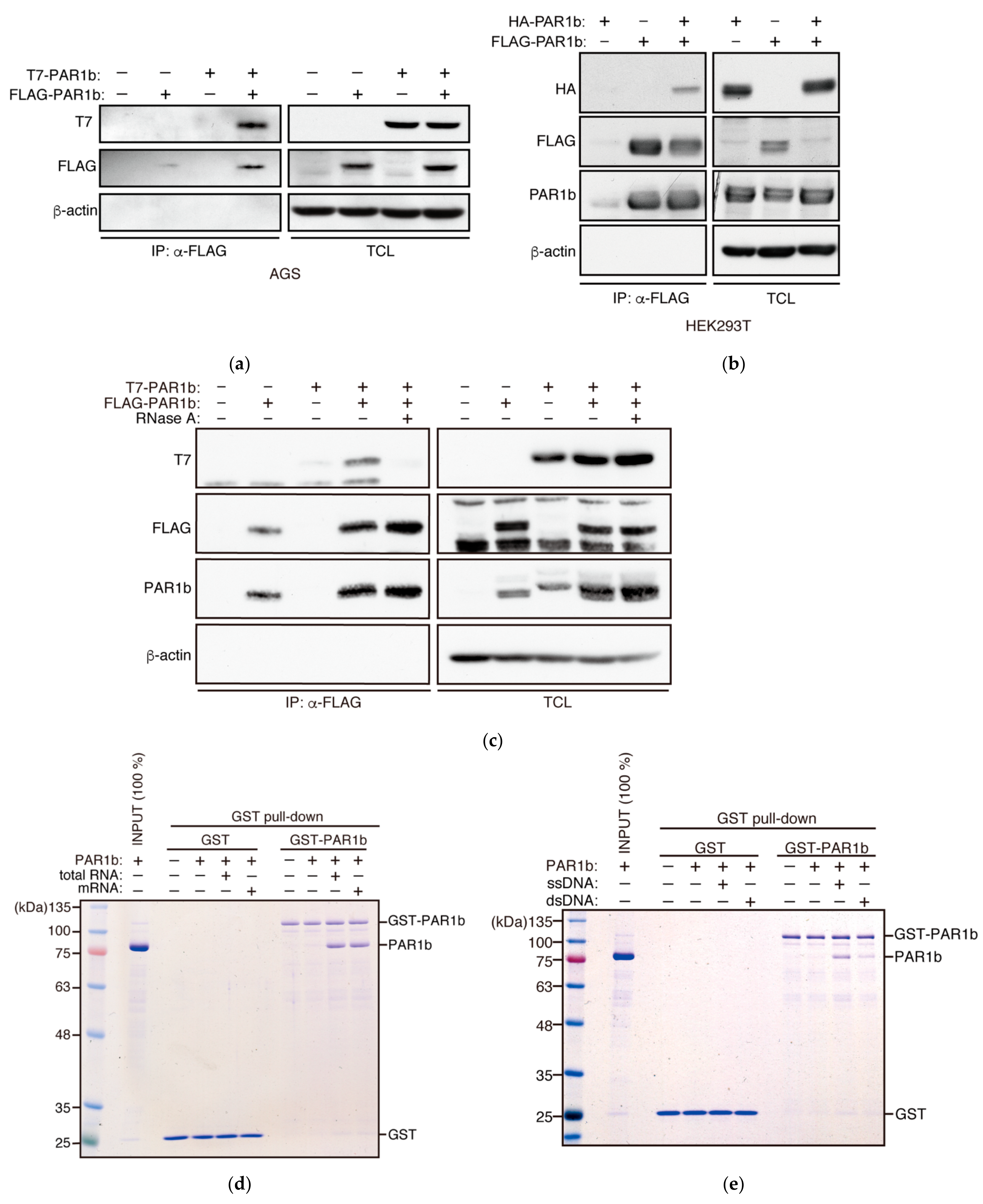 Ijms 23 06634 g001 550
