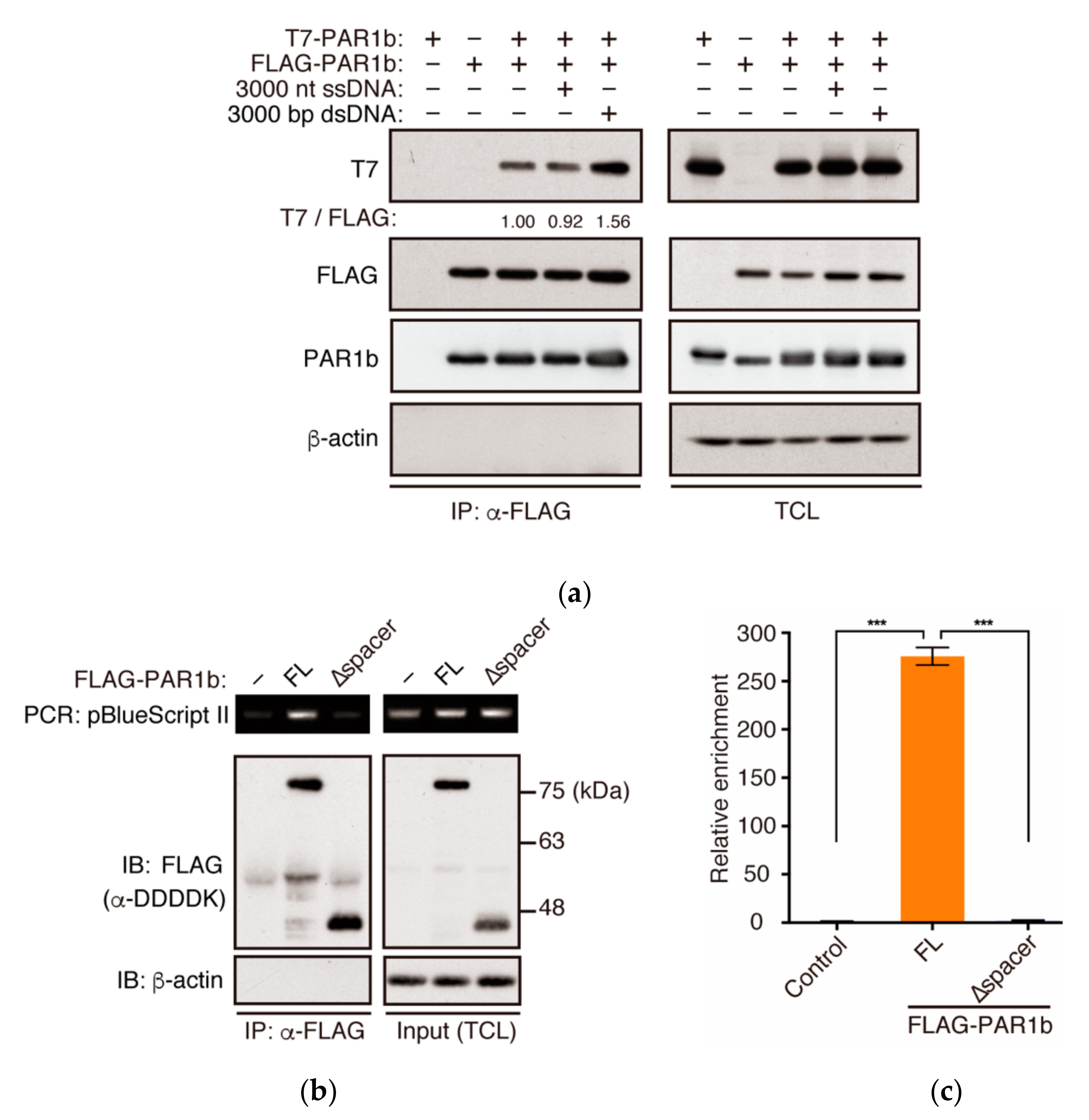 Ijms 23 06634 g004 550