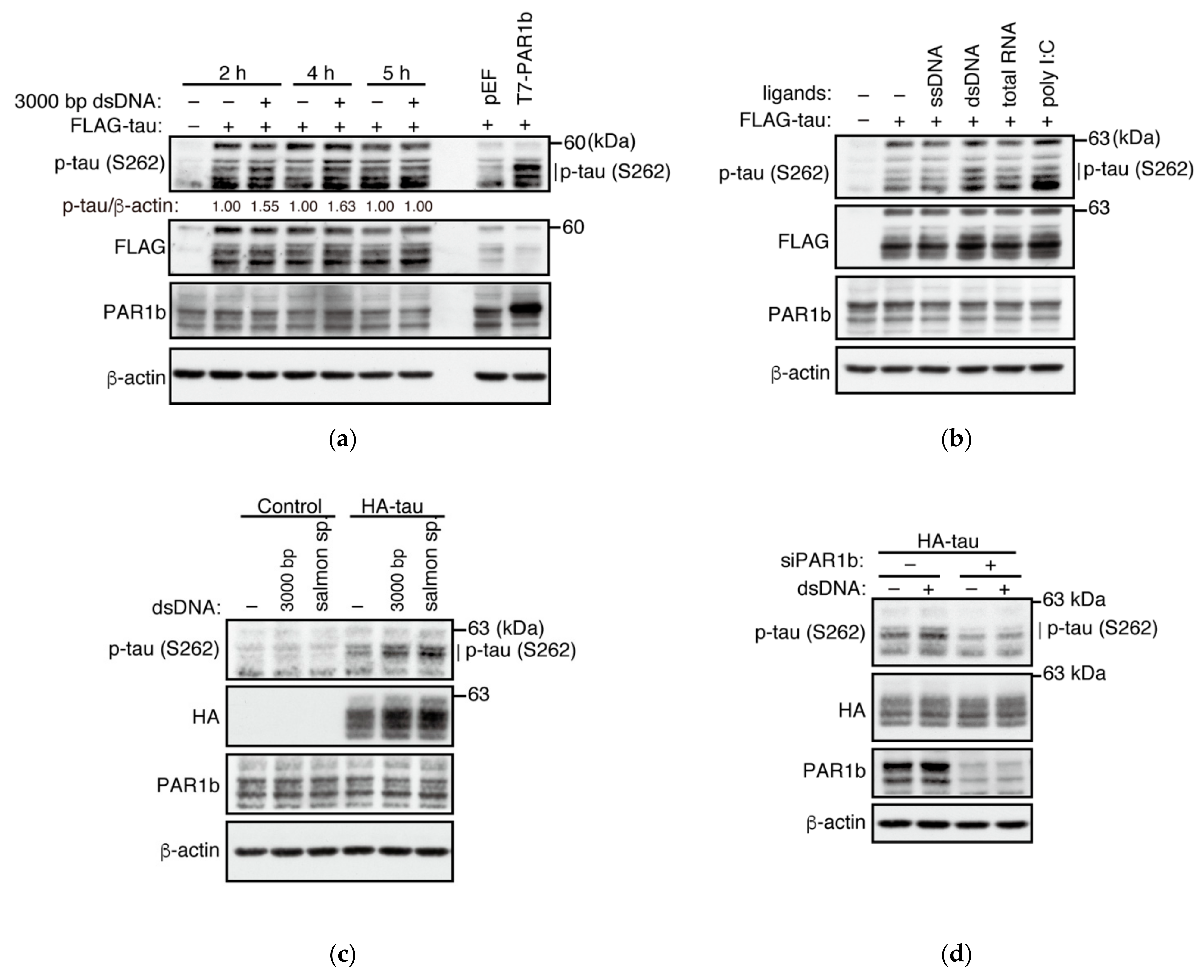 Ijms 23 06634 g005 550