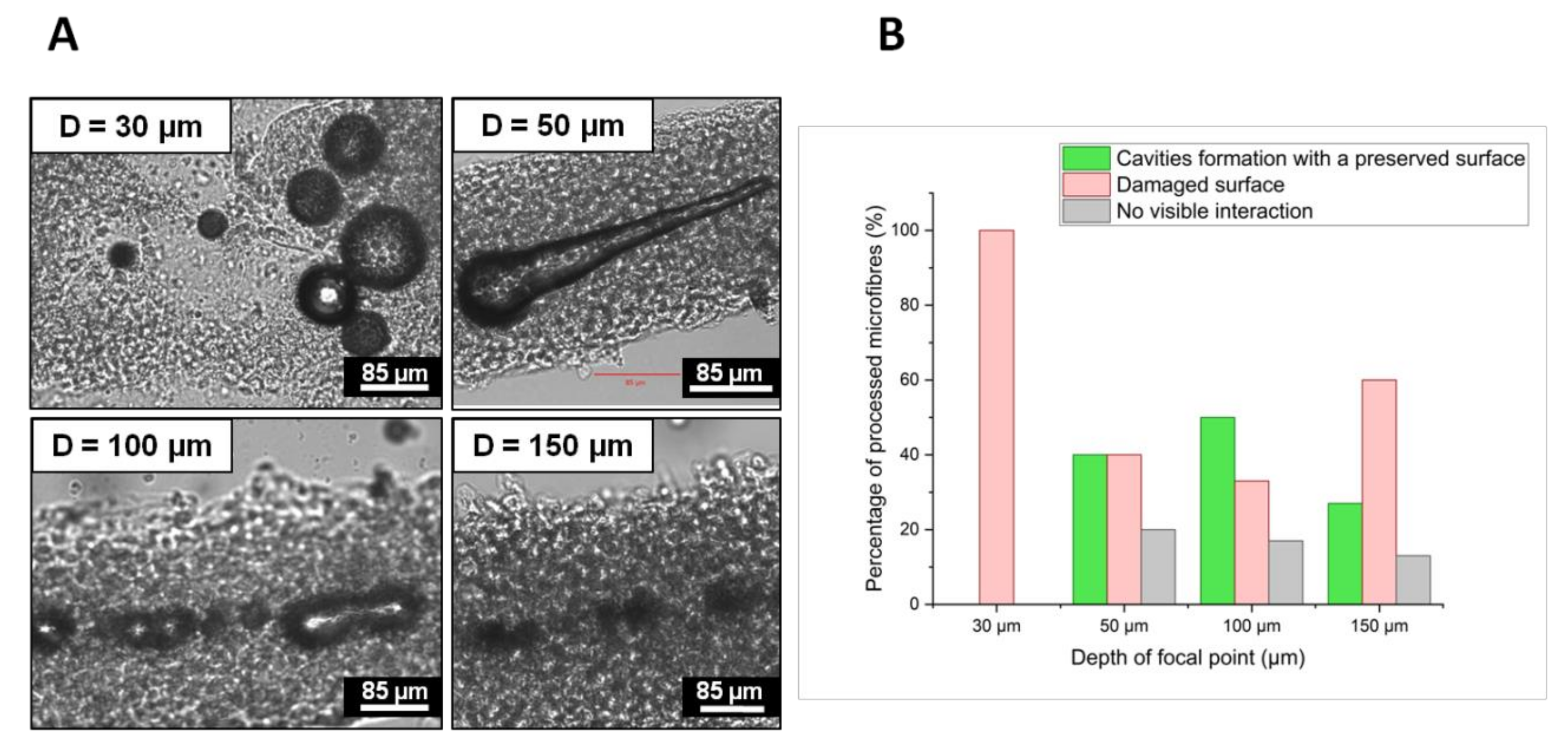 Ijms 23 06636 g001 550