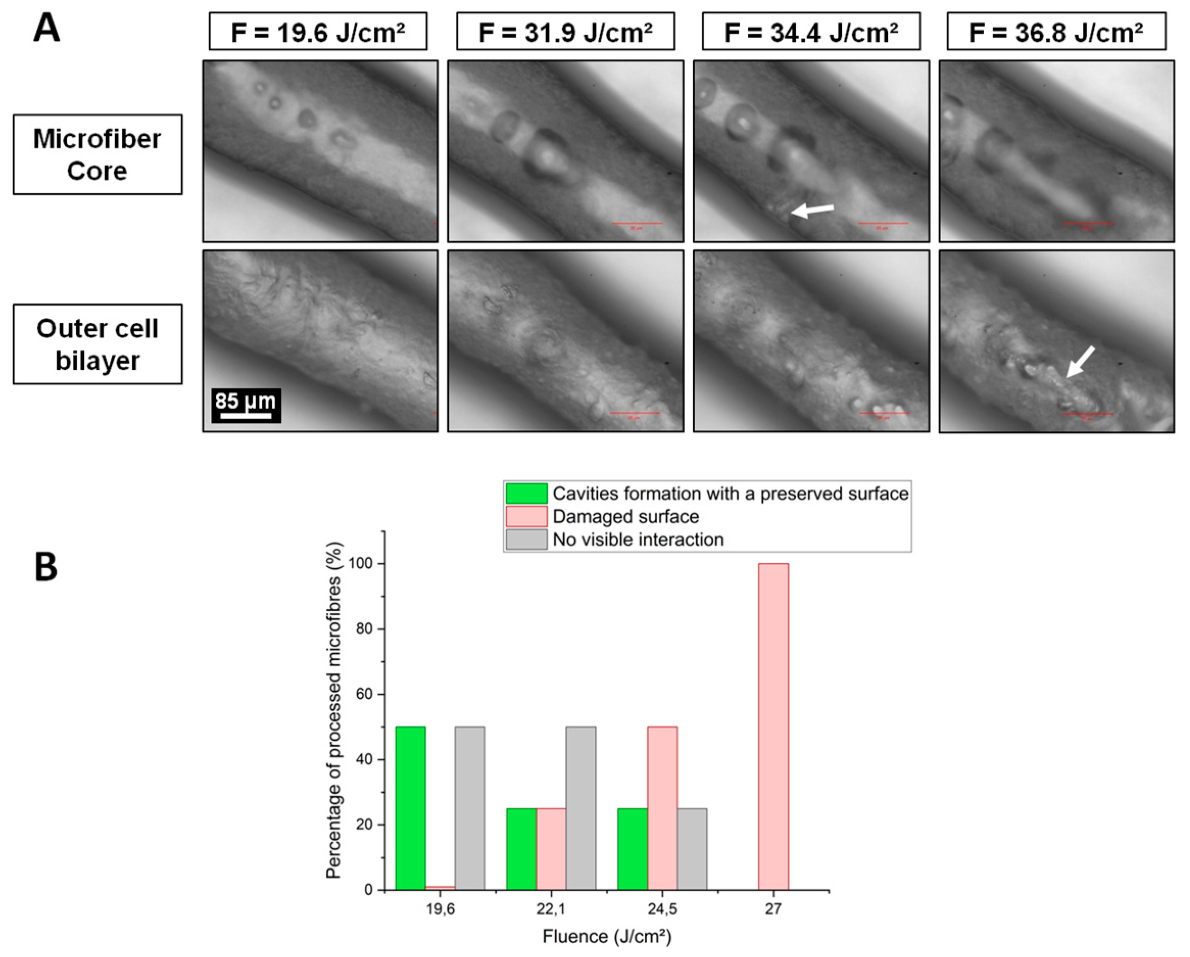 Ijms 23 06636 g003 550