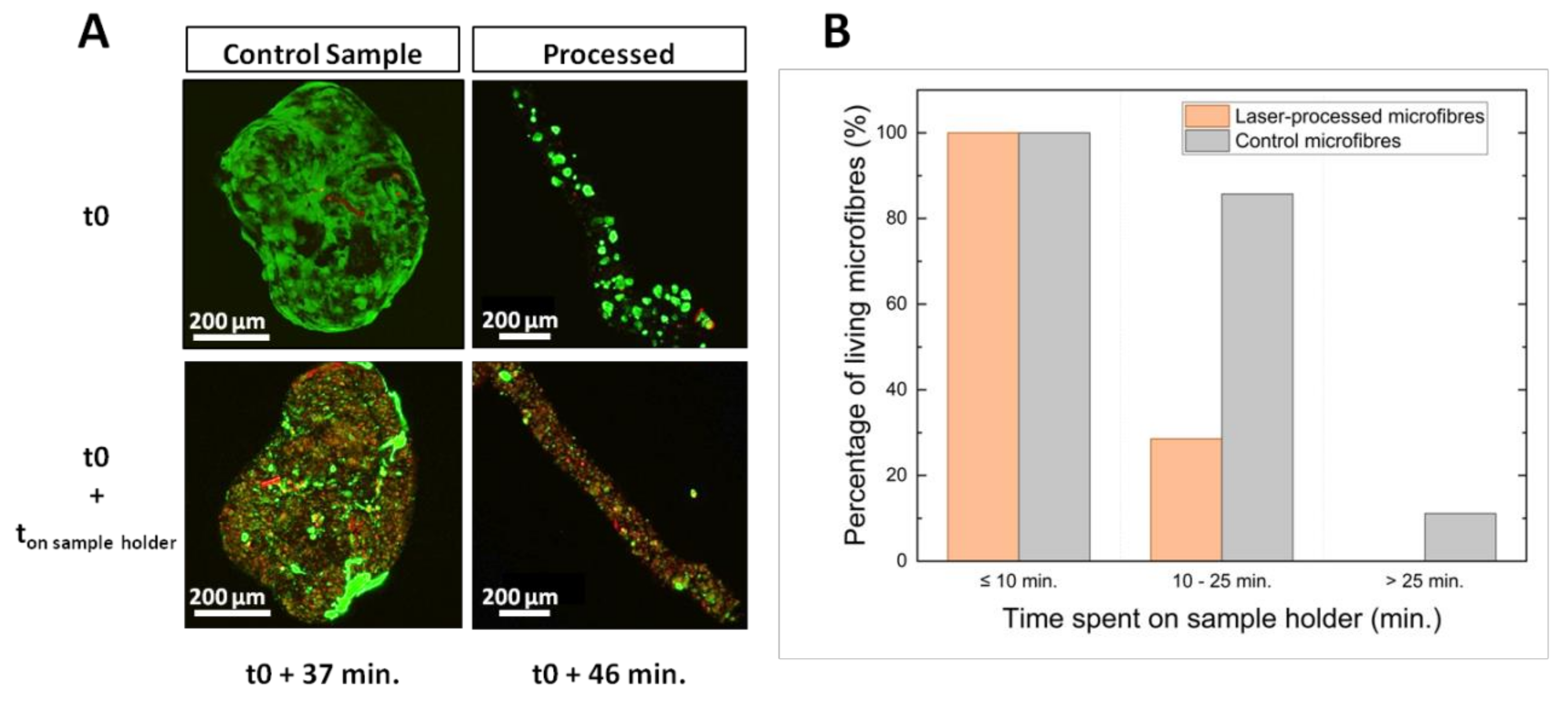 Ijms 23 06636 g005 550