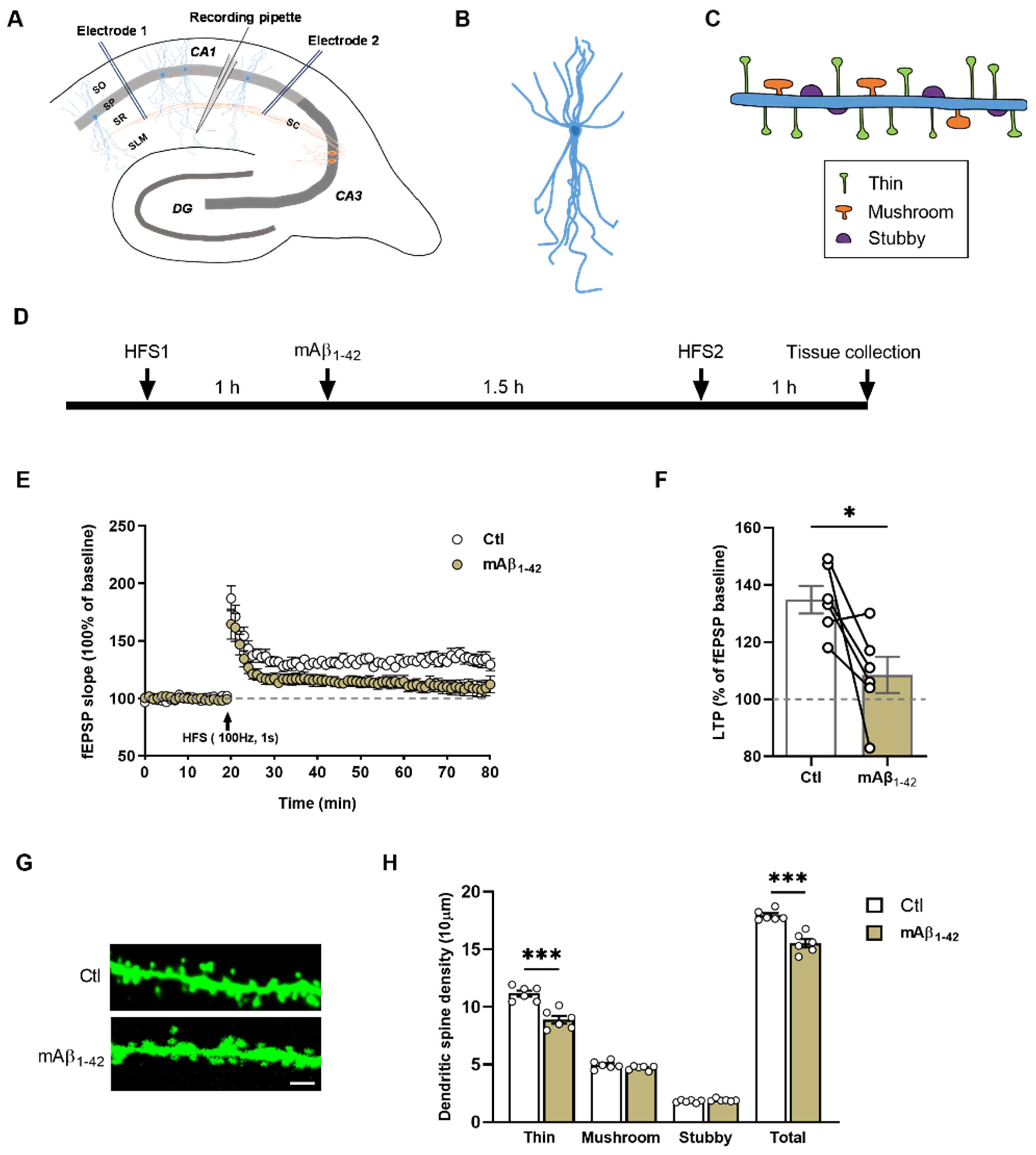 Ijms 23 06637 g002 550