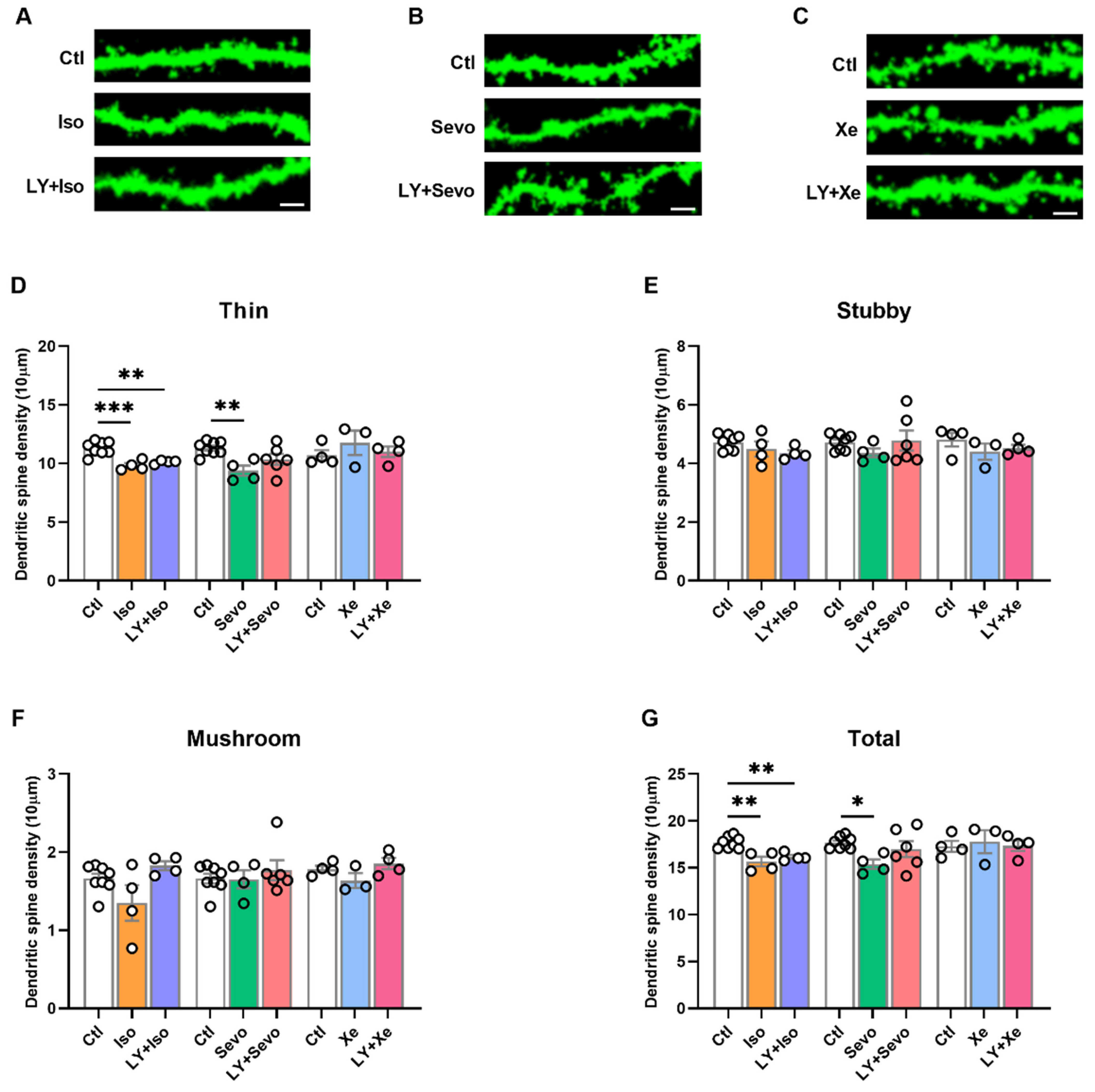 Ijms 23 06637 g003 550