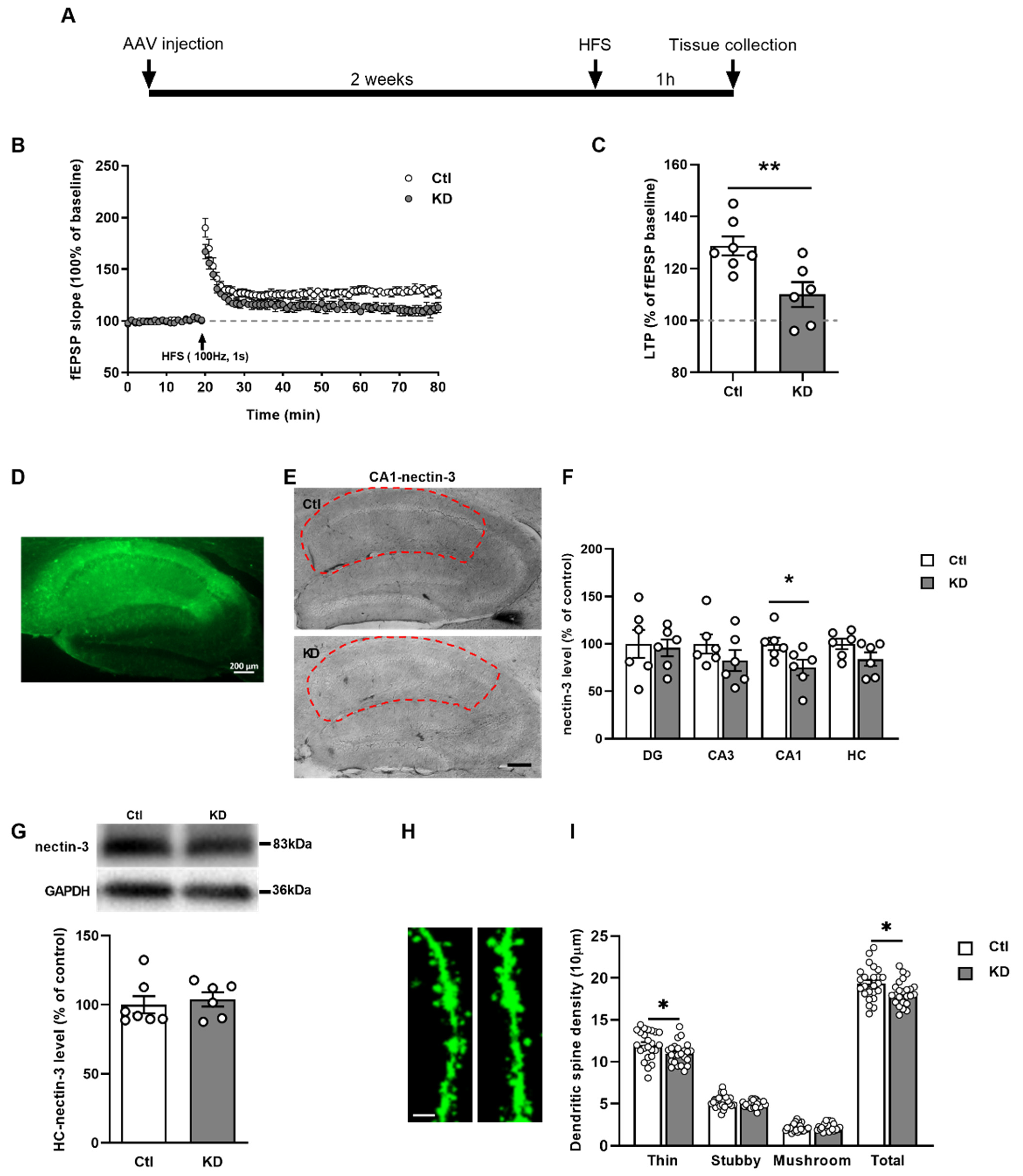 Ijms 23 06637 g005 550