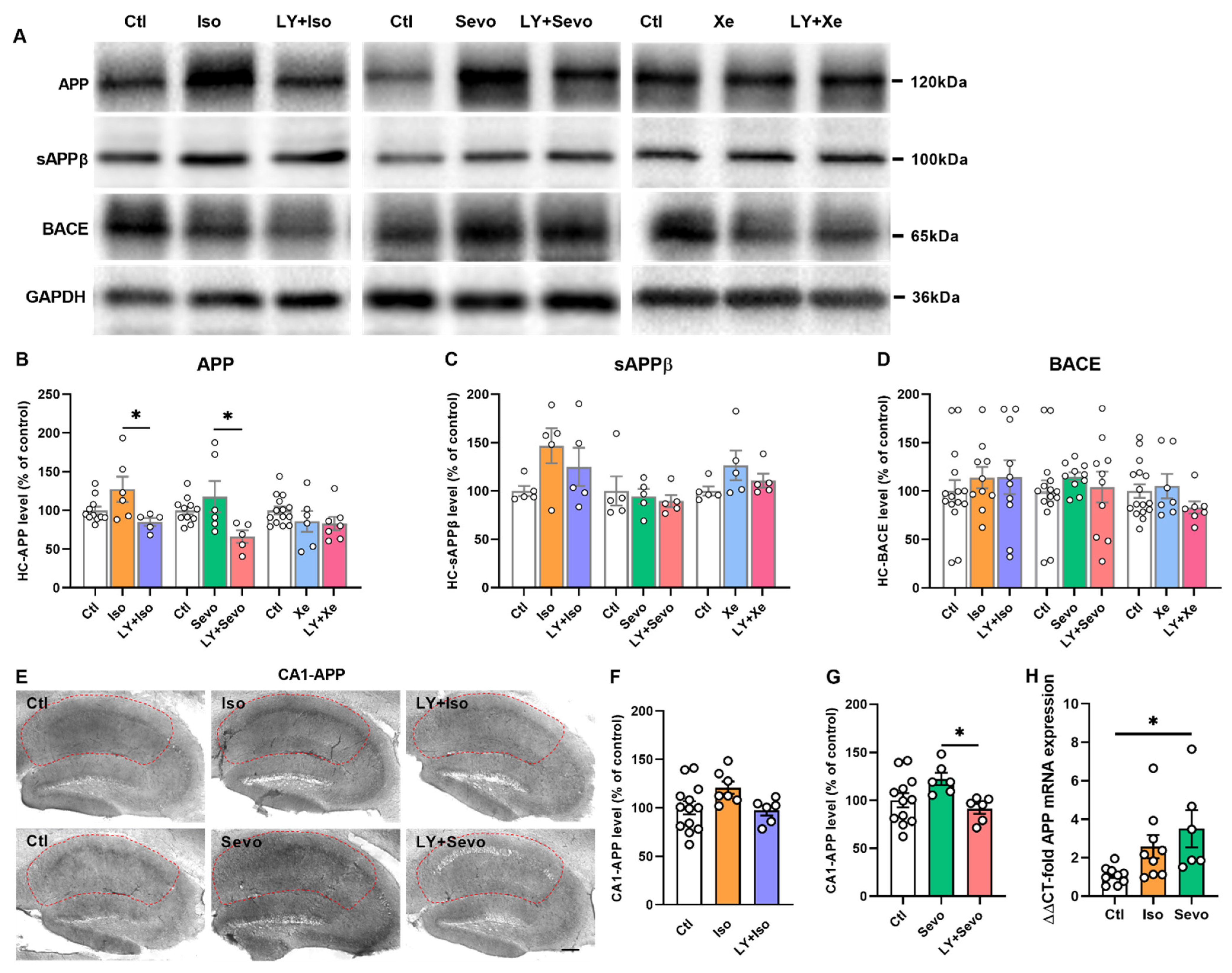 Ijms 23 06637 g006 550