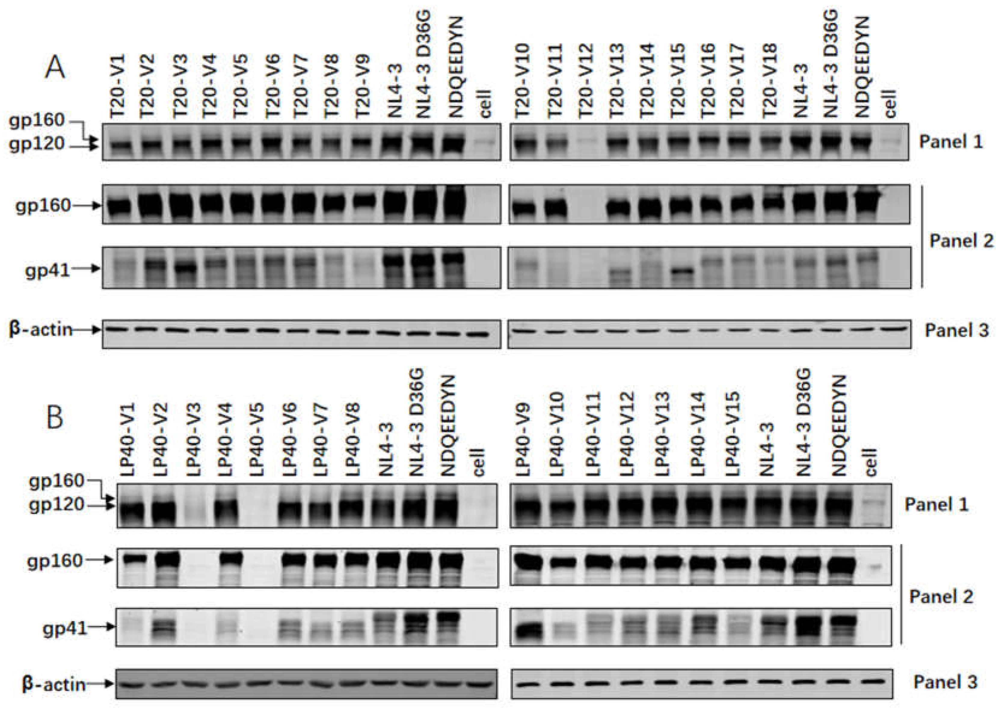 Ijms 23 06638 g005a 550