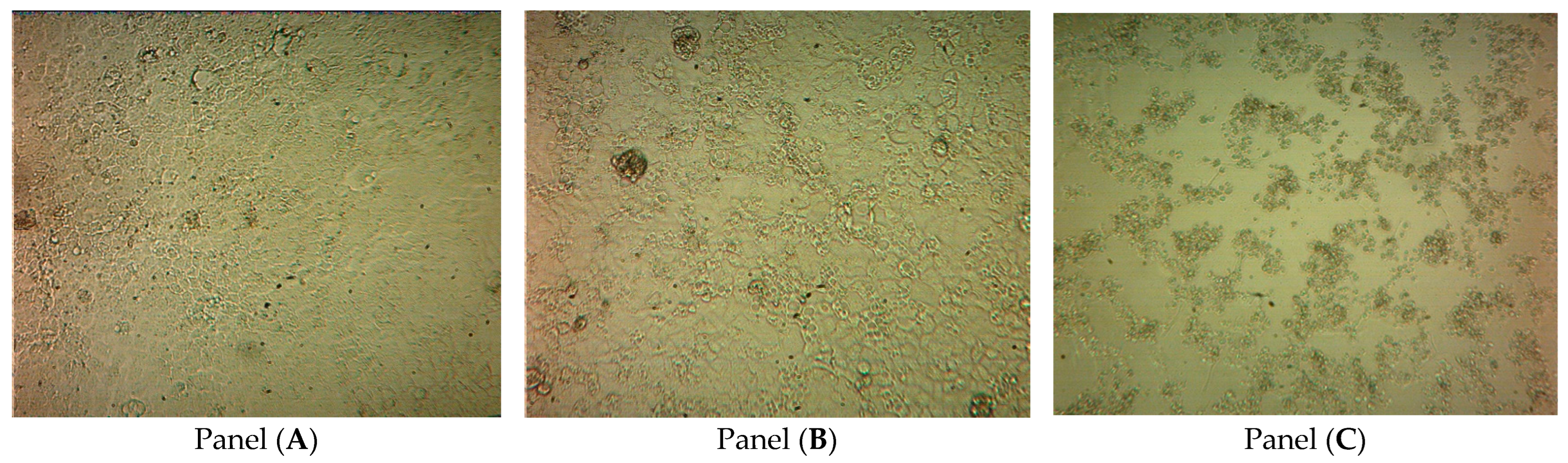 Ijms 23 06645 g006 Ijms 23 06645 g006