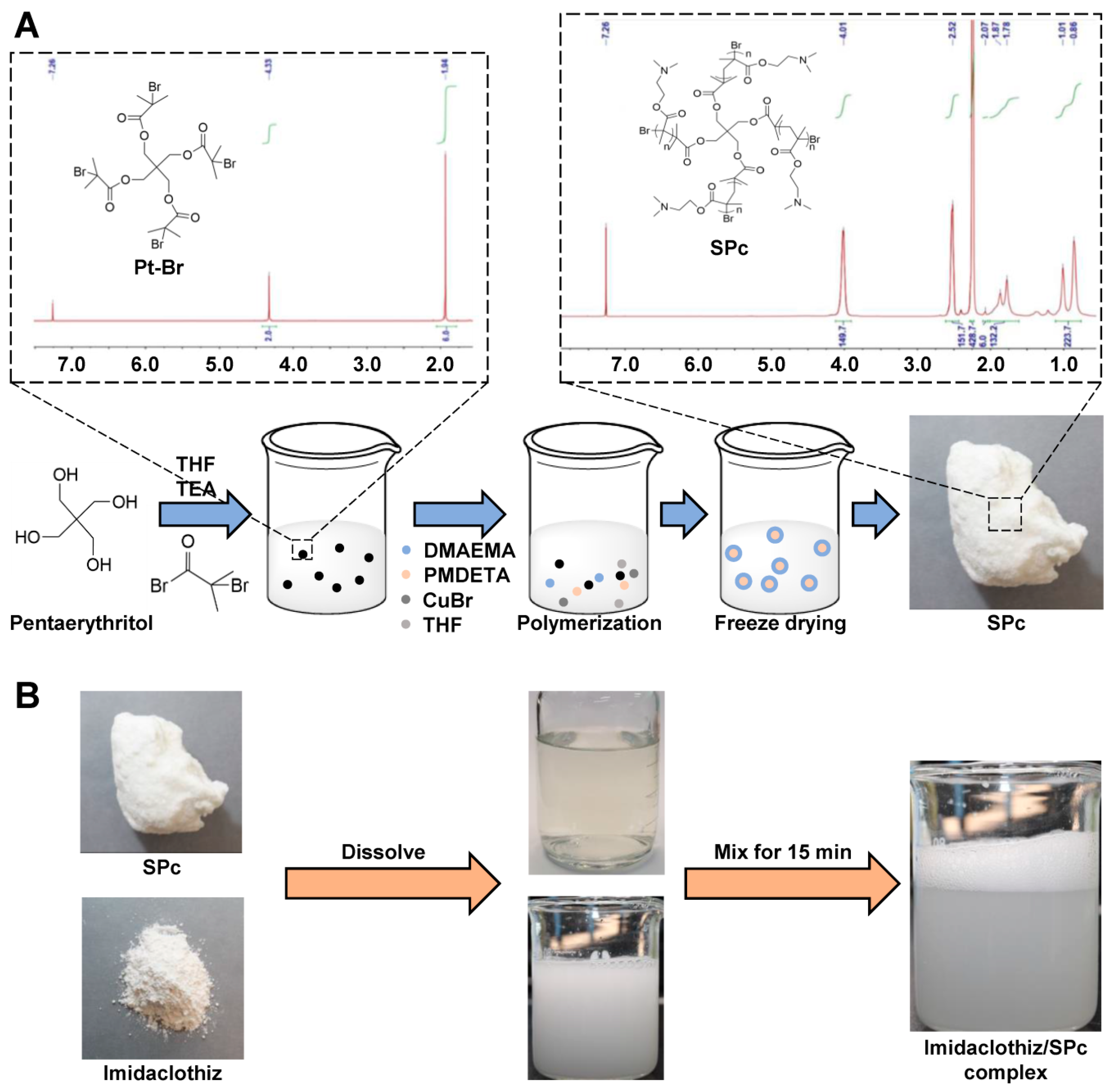 Ijms 23 06651 g008 550