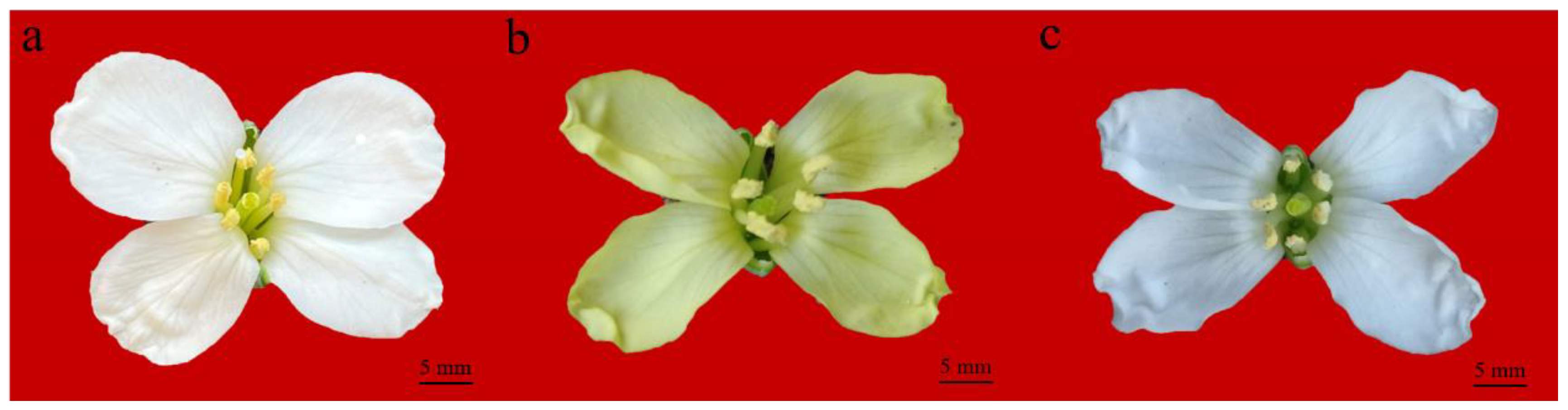 Ijms 23 06656 g001 550