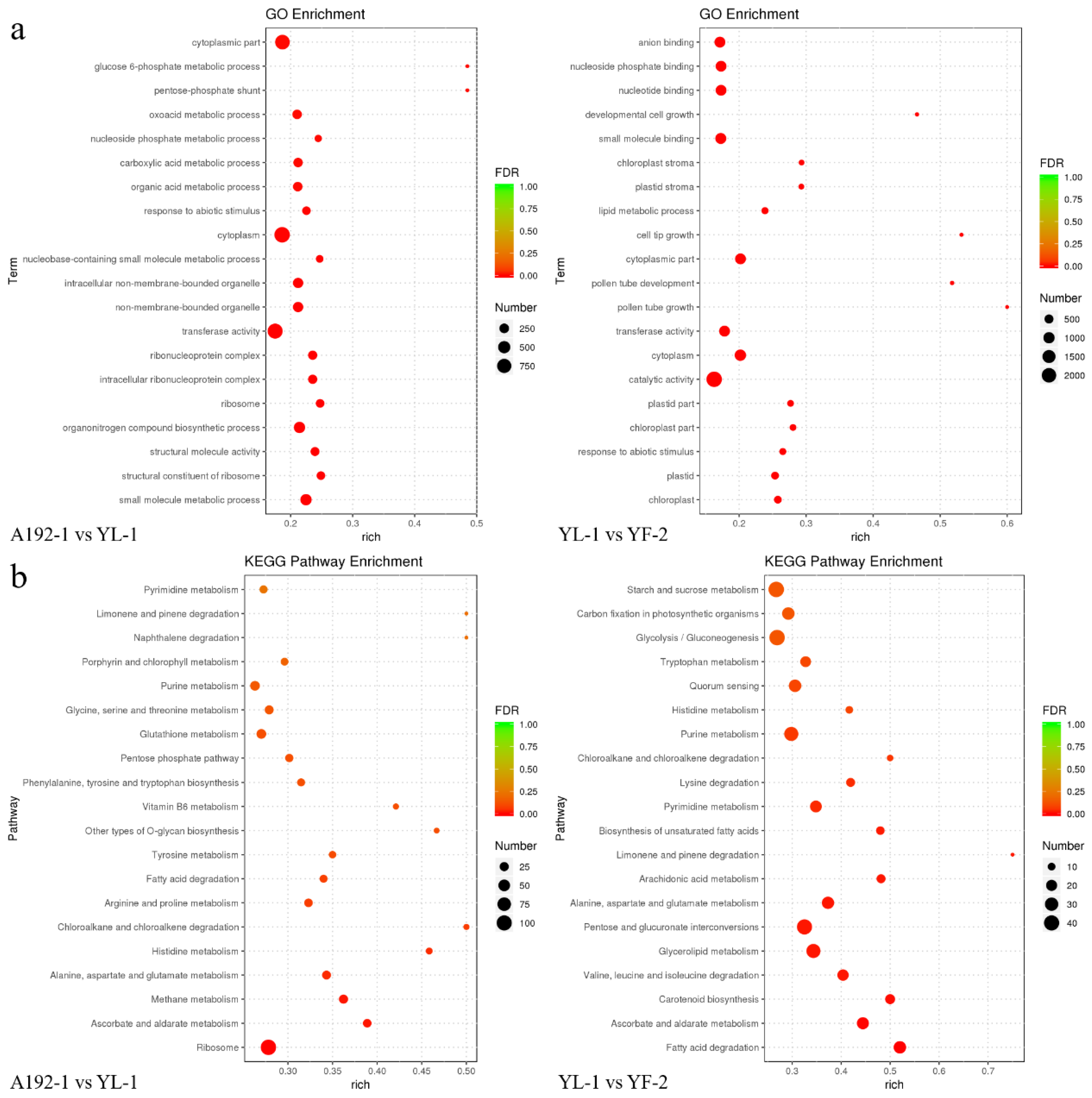 Ijms 23 06656 g003 550