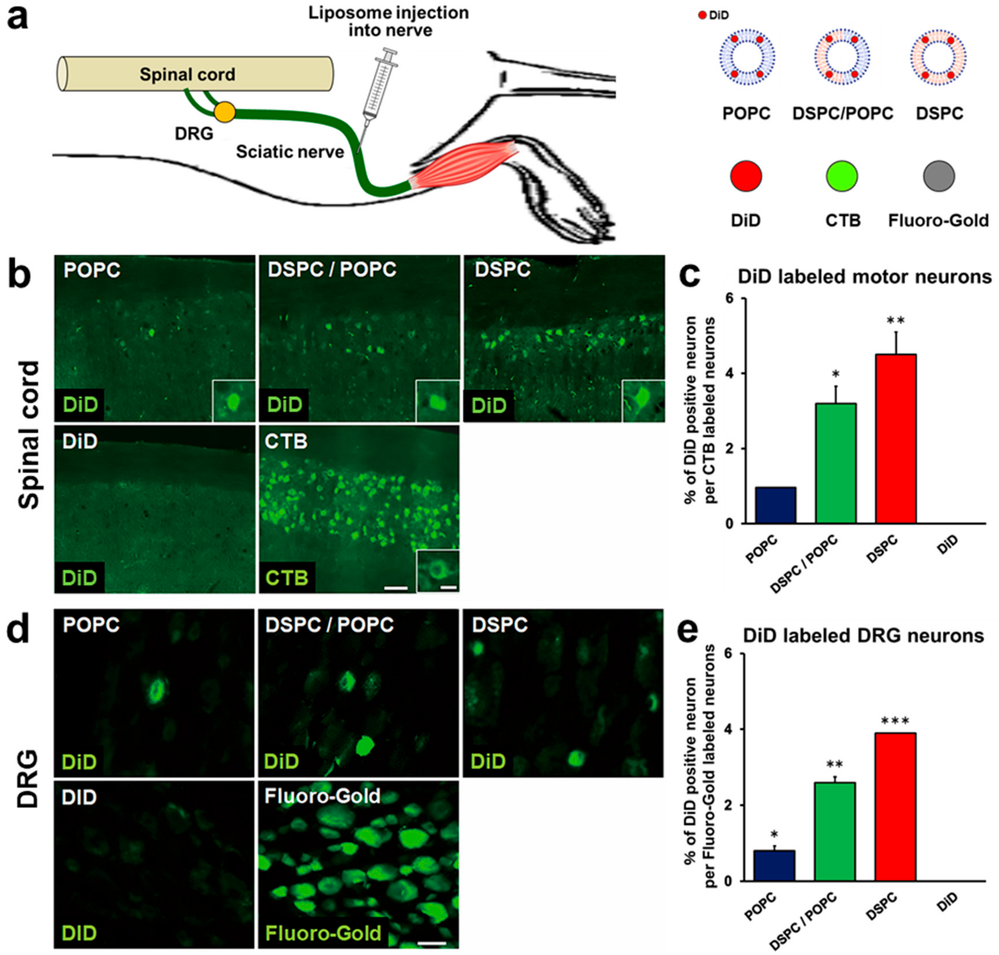 Ijms 23 06661 g002 Ijms 23 06661 g002
