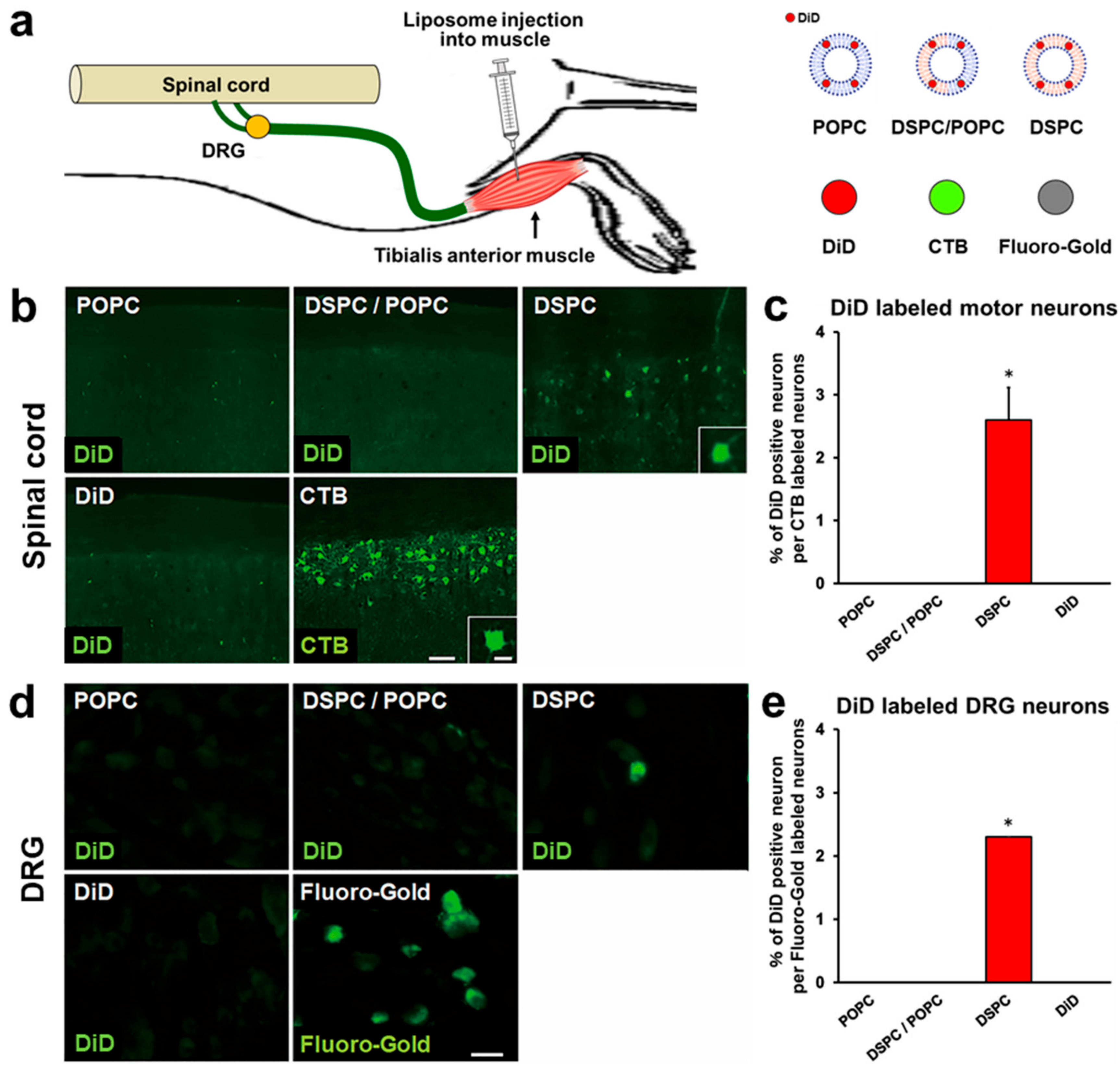 Ijms 23 06661 g003 Ijms 23 06661 g003