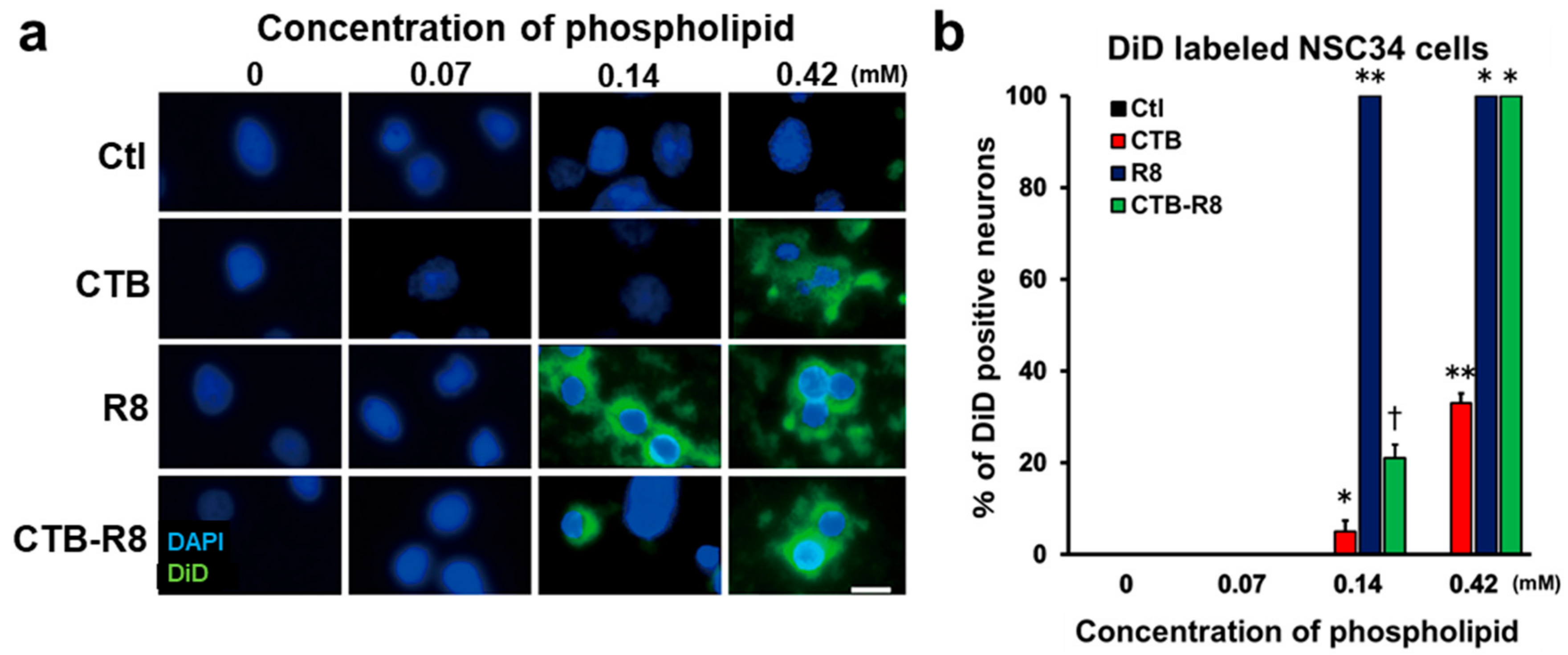 Ijms 23 06661 g004 Ijms 23 06661 g004