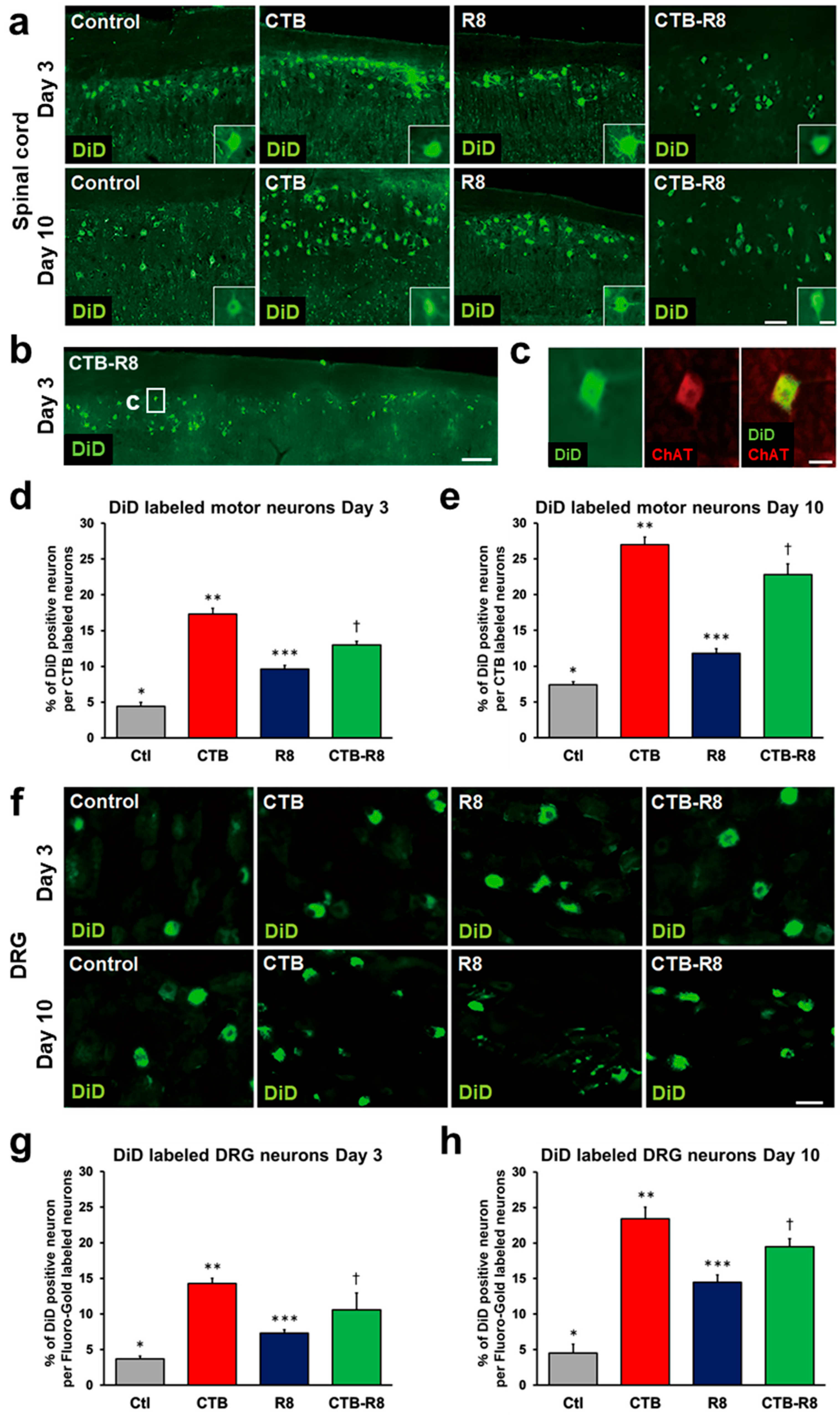 Ijms 23 06661 g005 Ijms 23 06661 g005