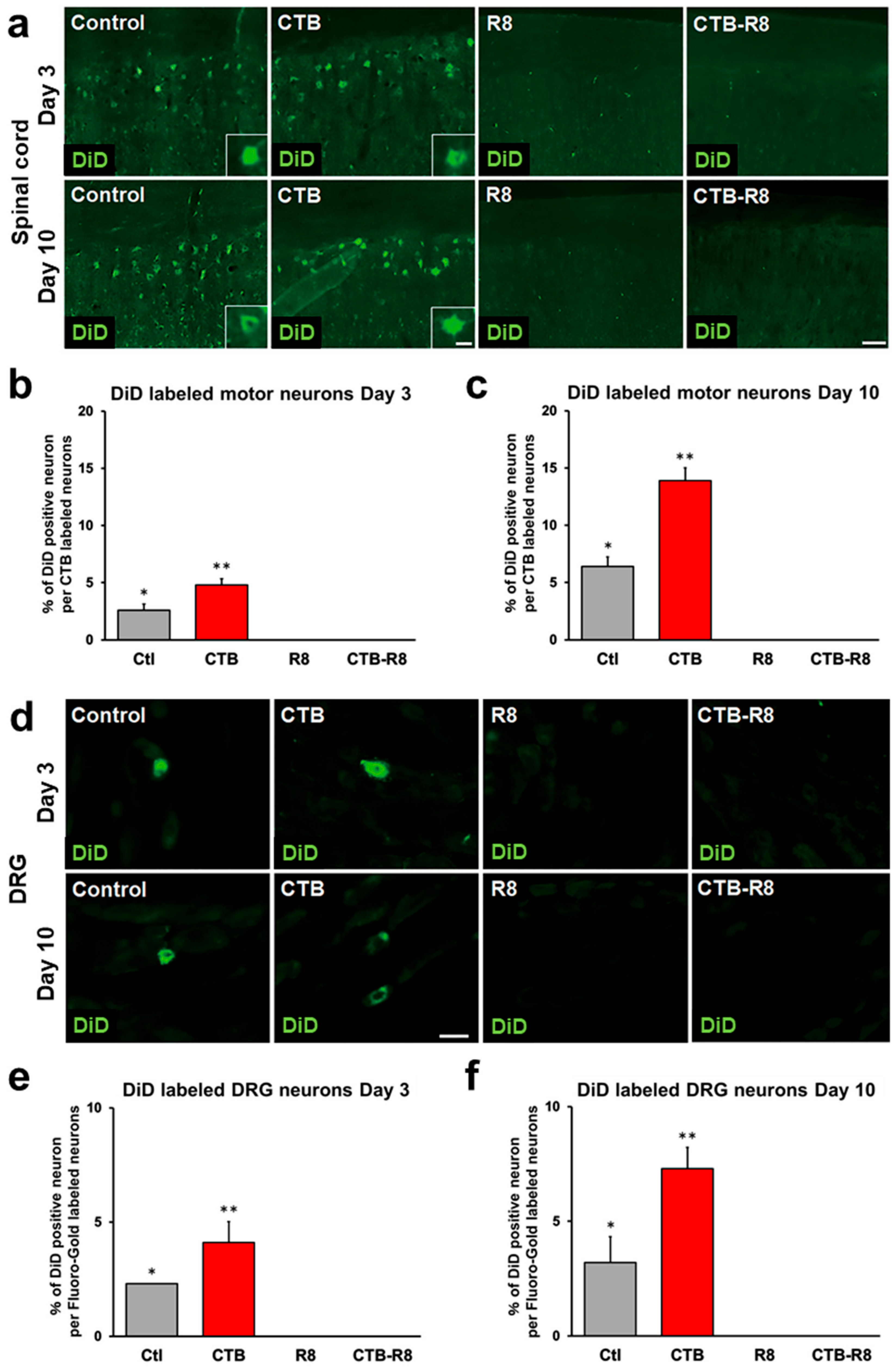 Ijms 23 06661 g006 Ijms 23 06661 g006