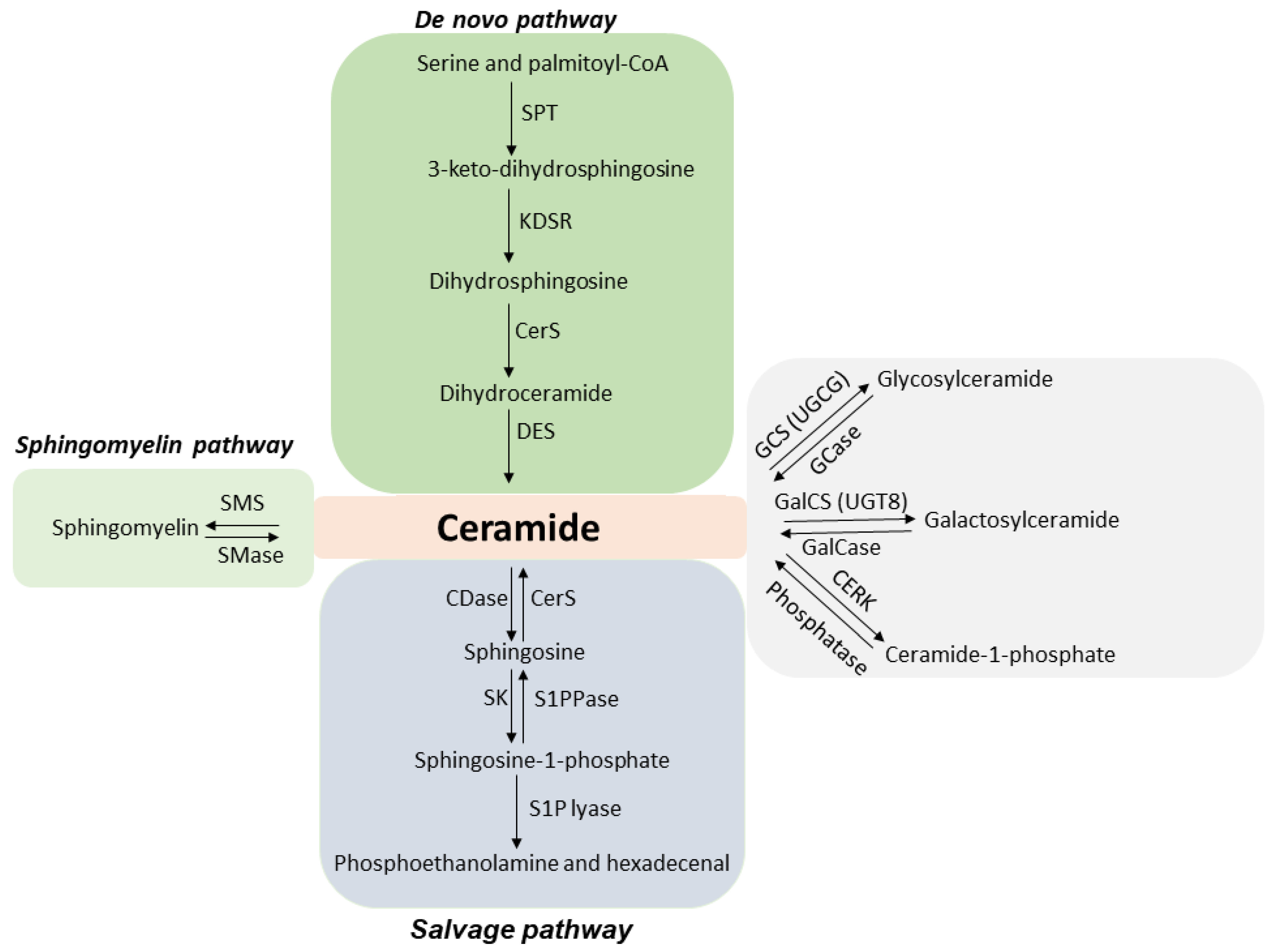 Ijms 23 06671 g001 550