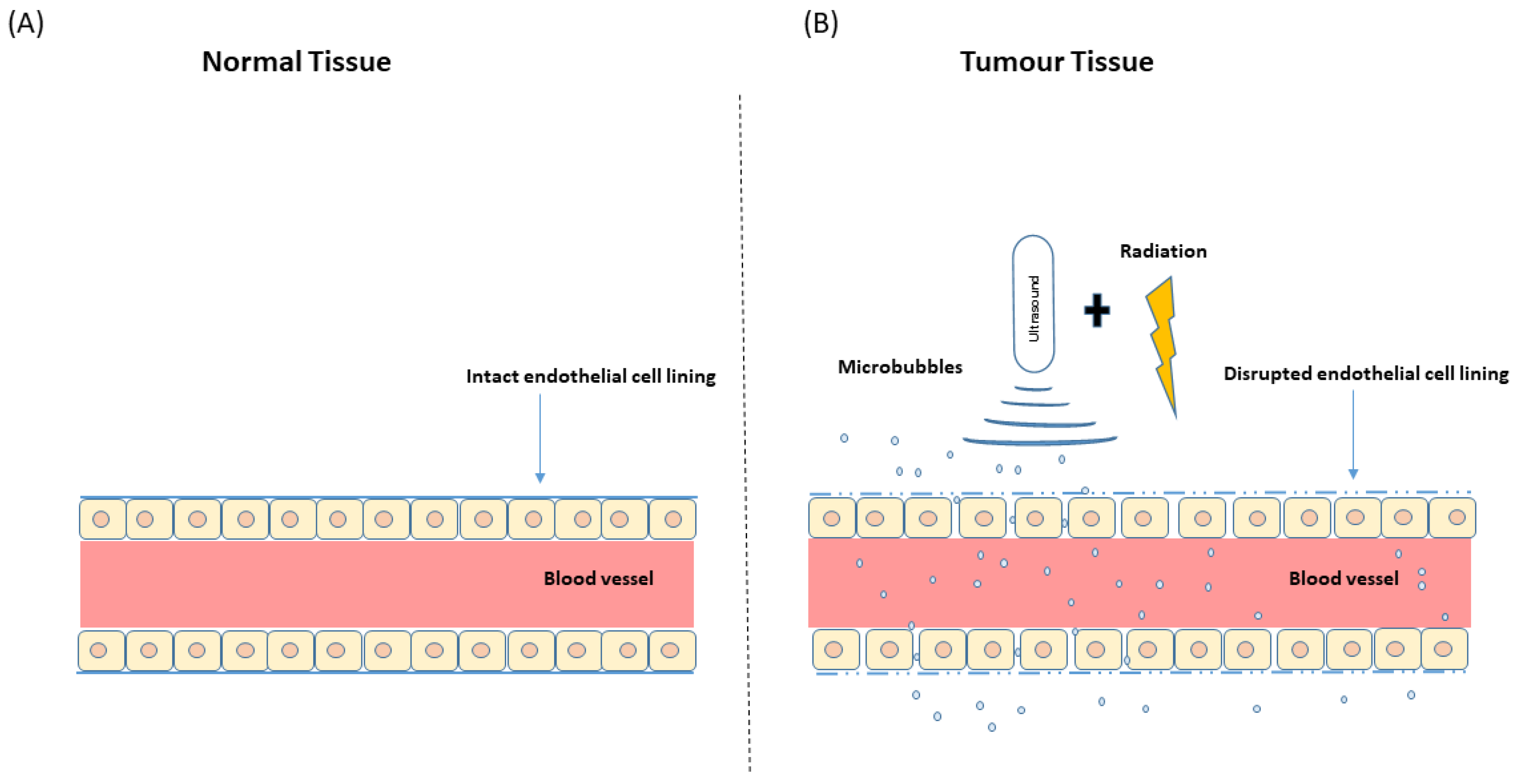 Ijms 23 06671 g003 550