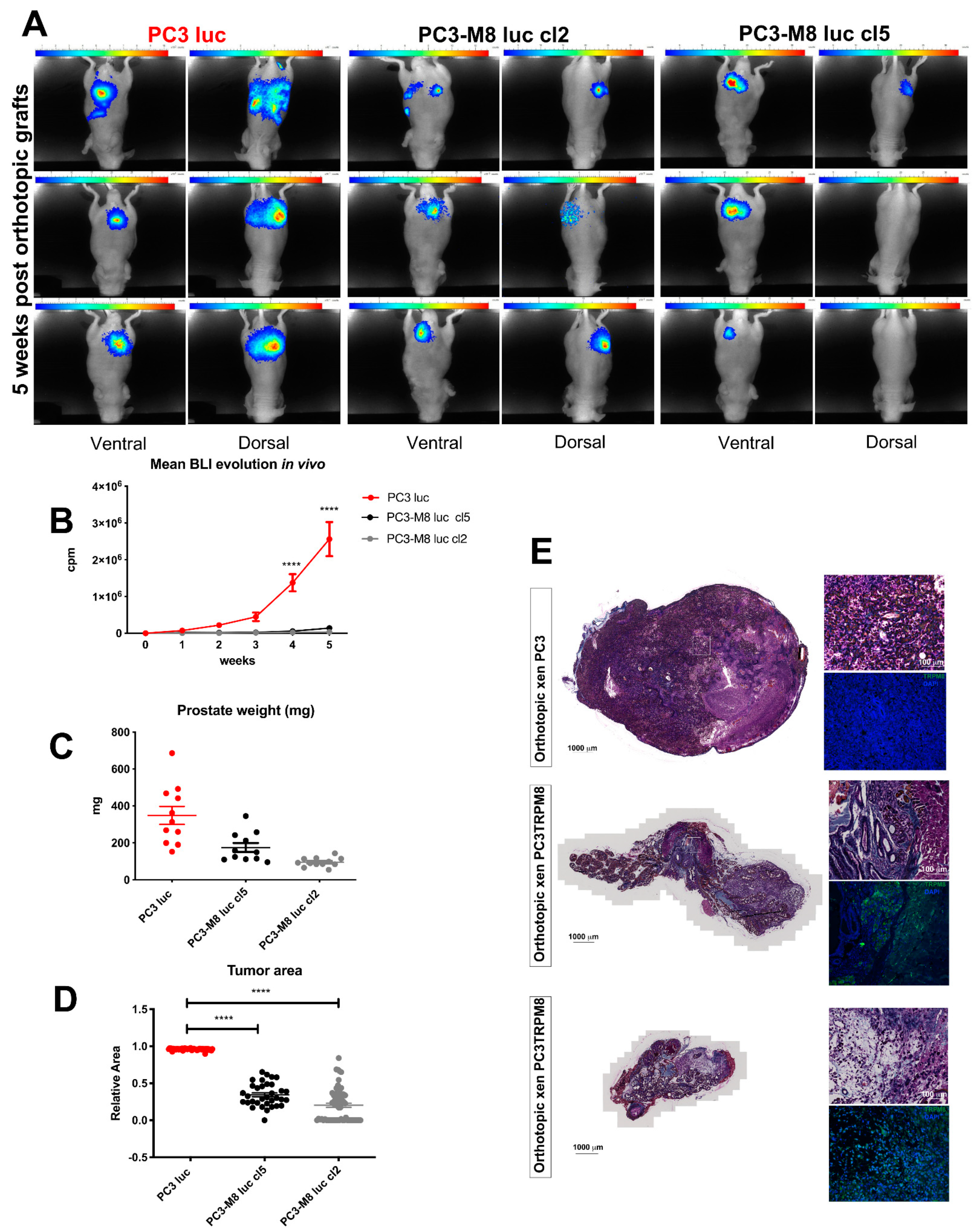 Ijms 23 06672 g001 550
