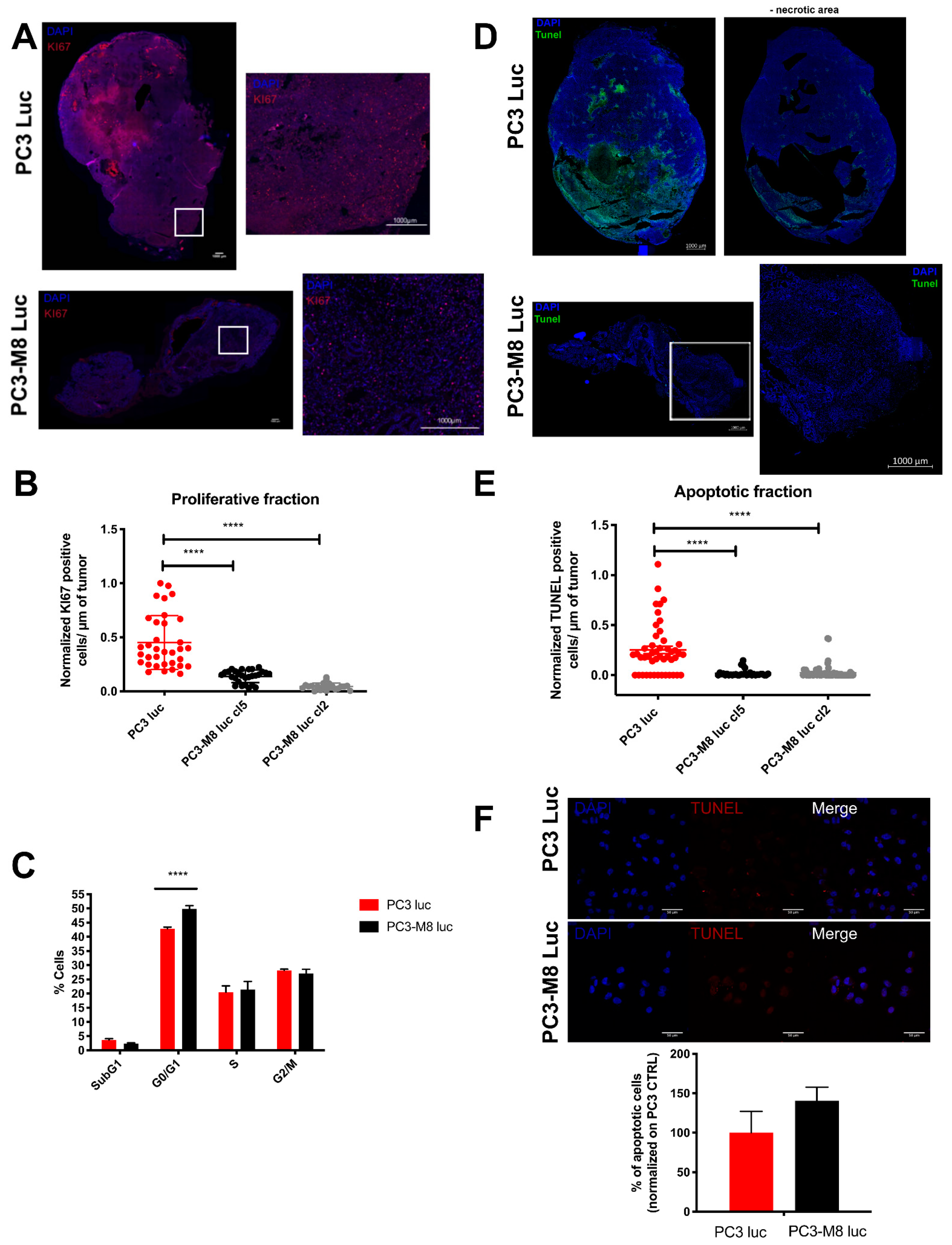 Ijms 23 06672 g002 550