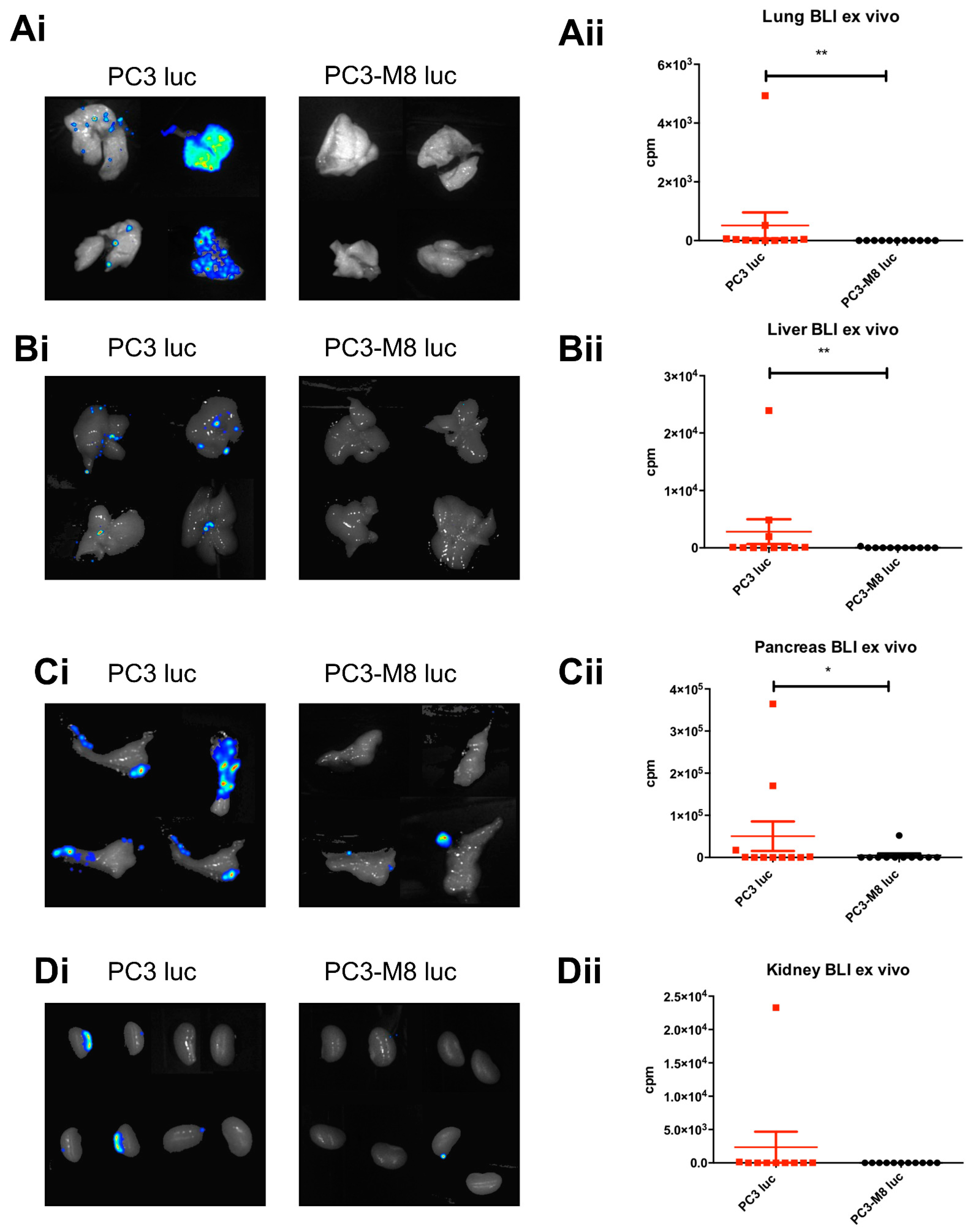 Ijms 23 06672 g004 550