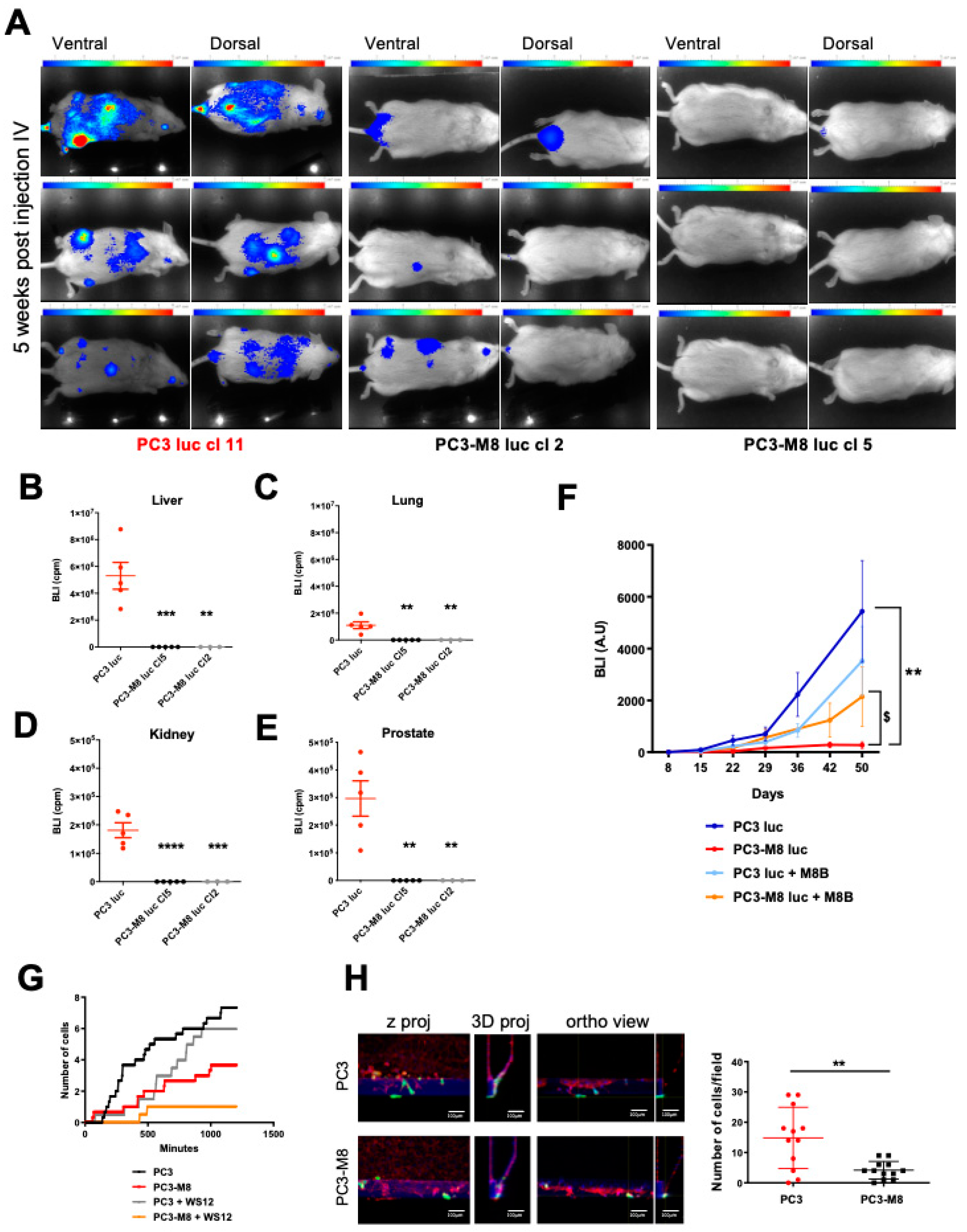 Ijms 23 06672 g005 550