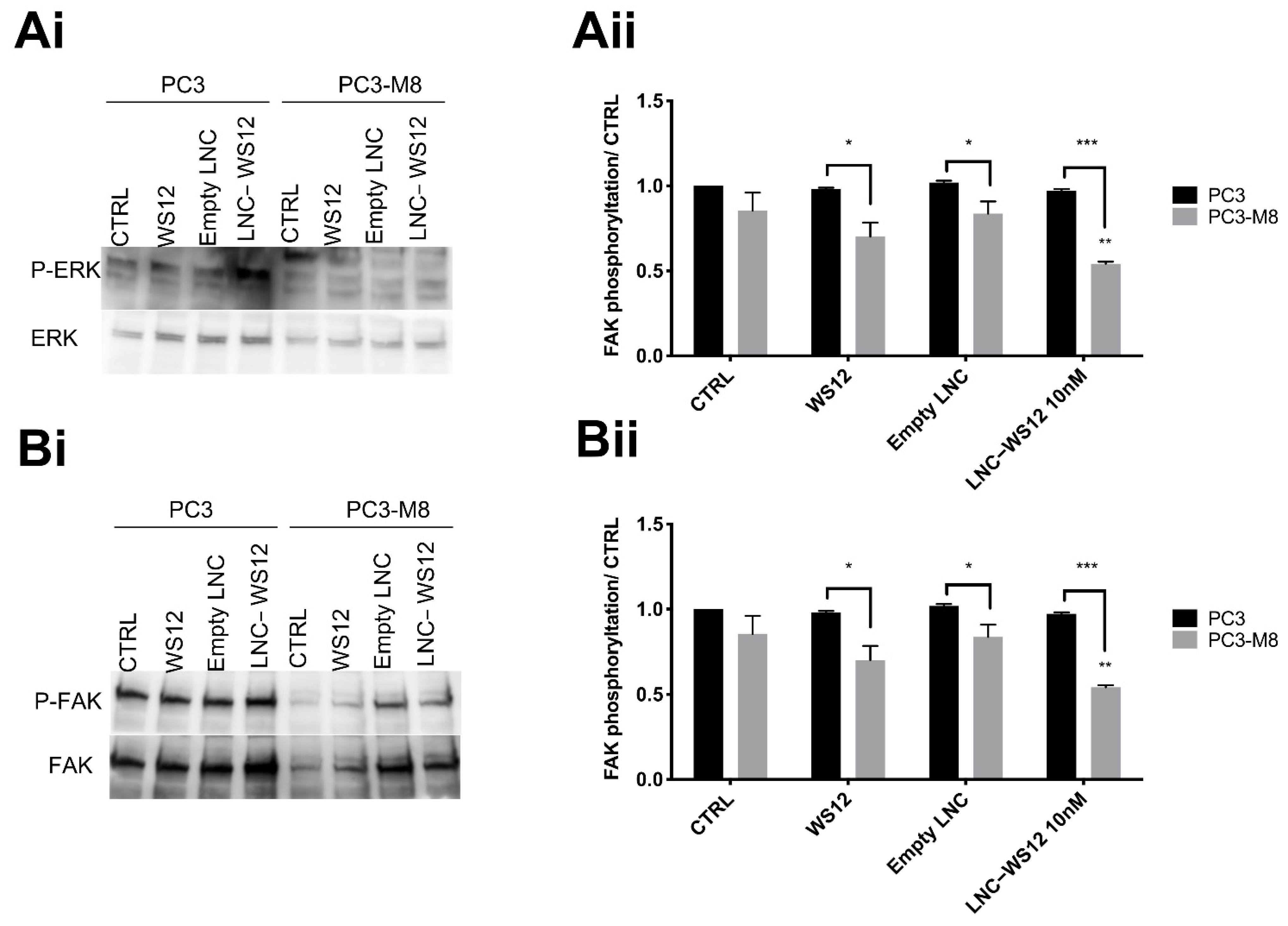 Ijms 23 06672 g008 550
