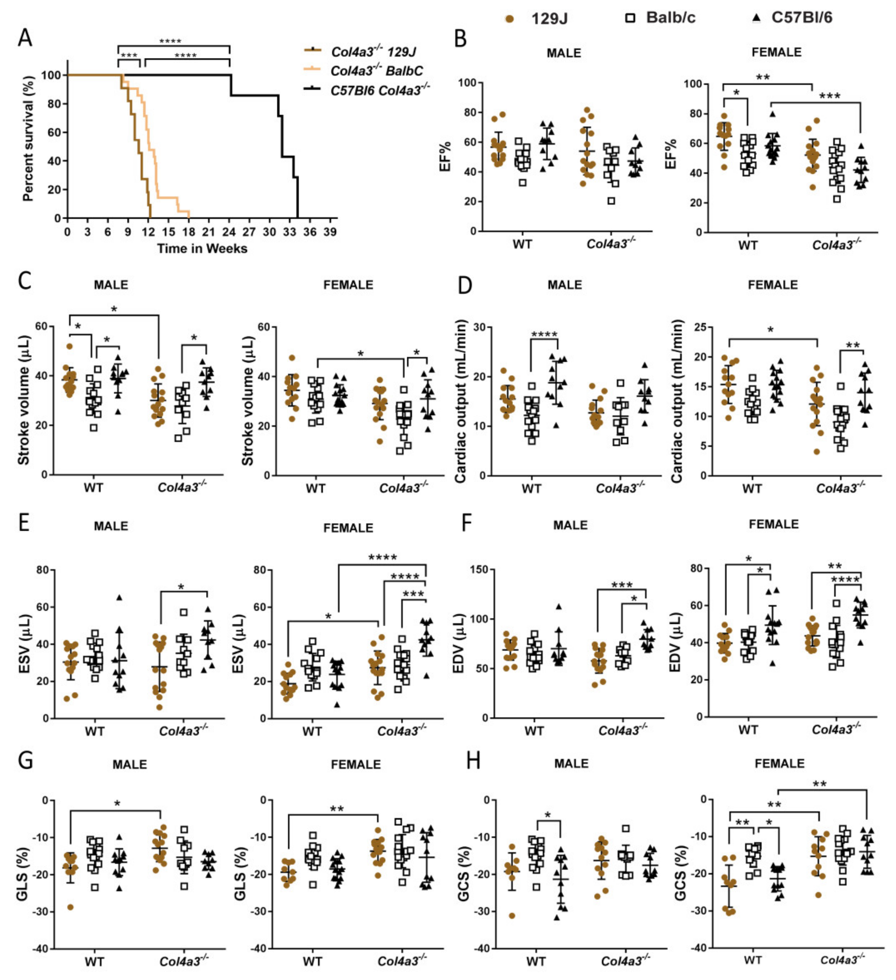 Ijms 23 06674 g001 550