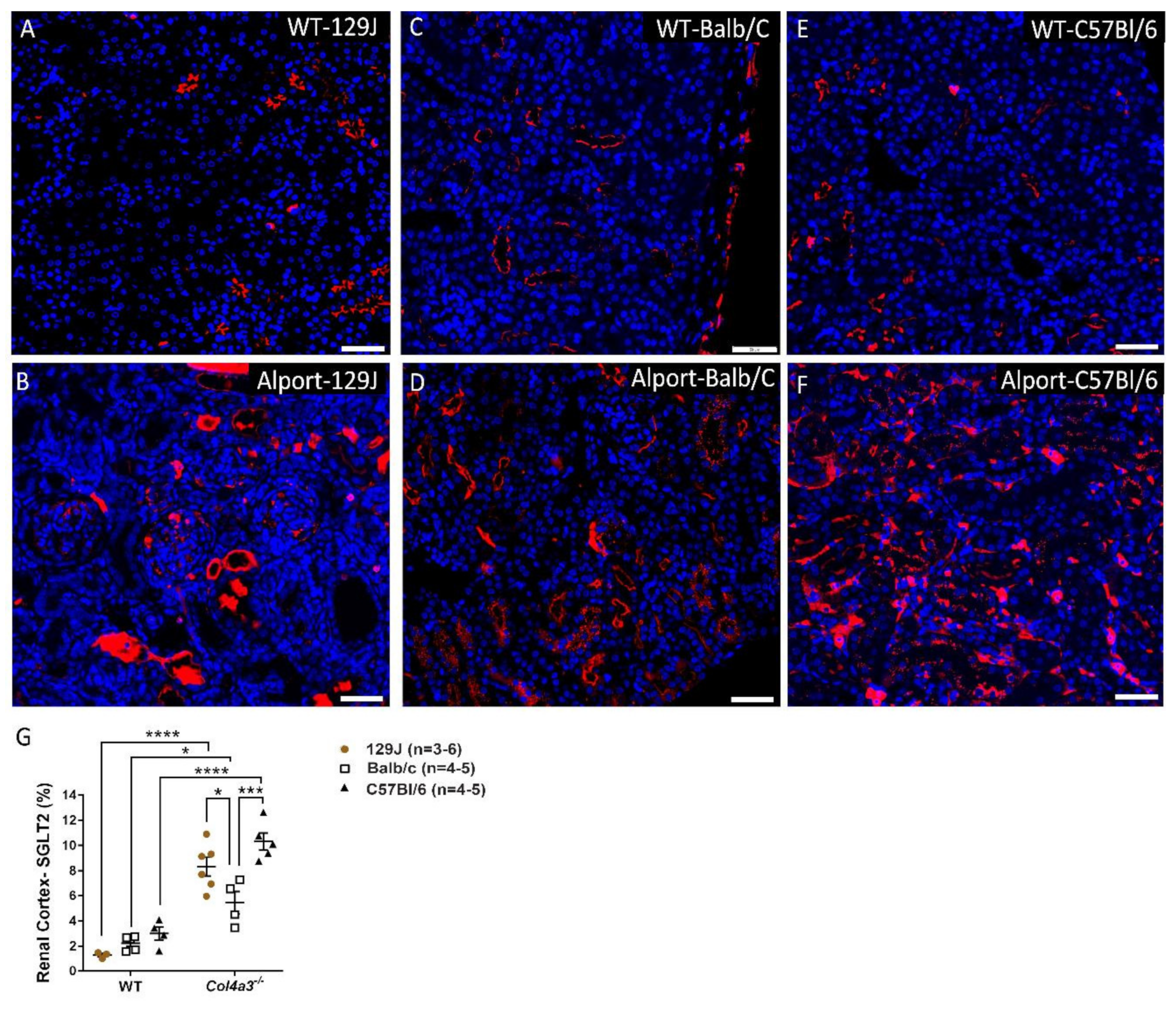 Ijms 23 06674 g008 550