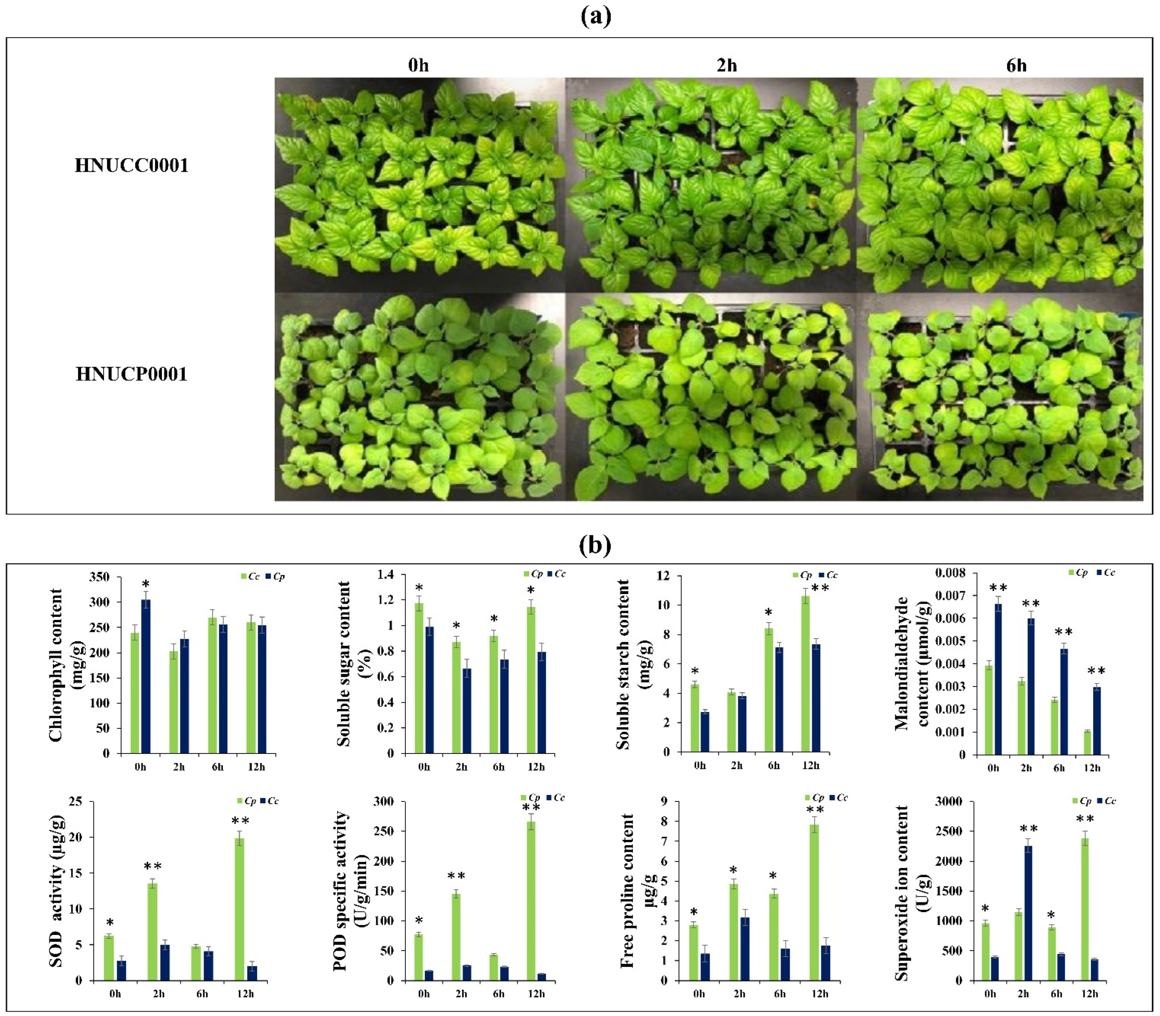 Ijms 23 06683 g001 550