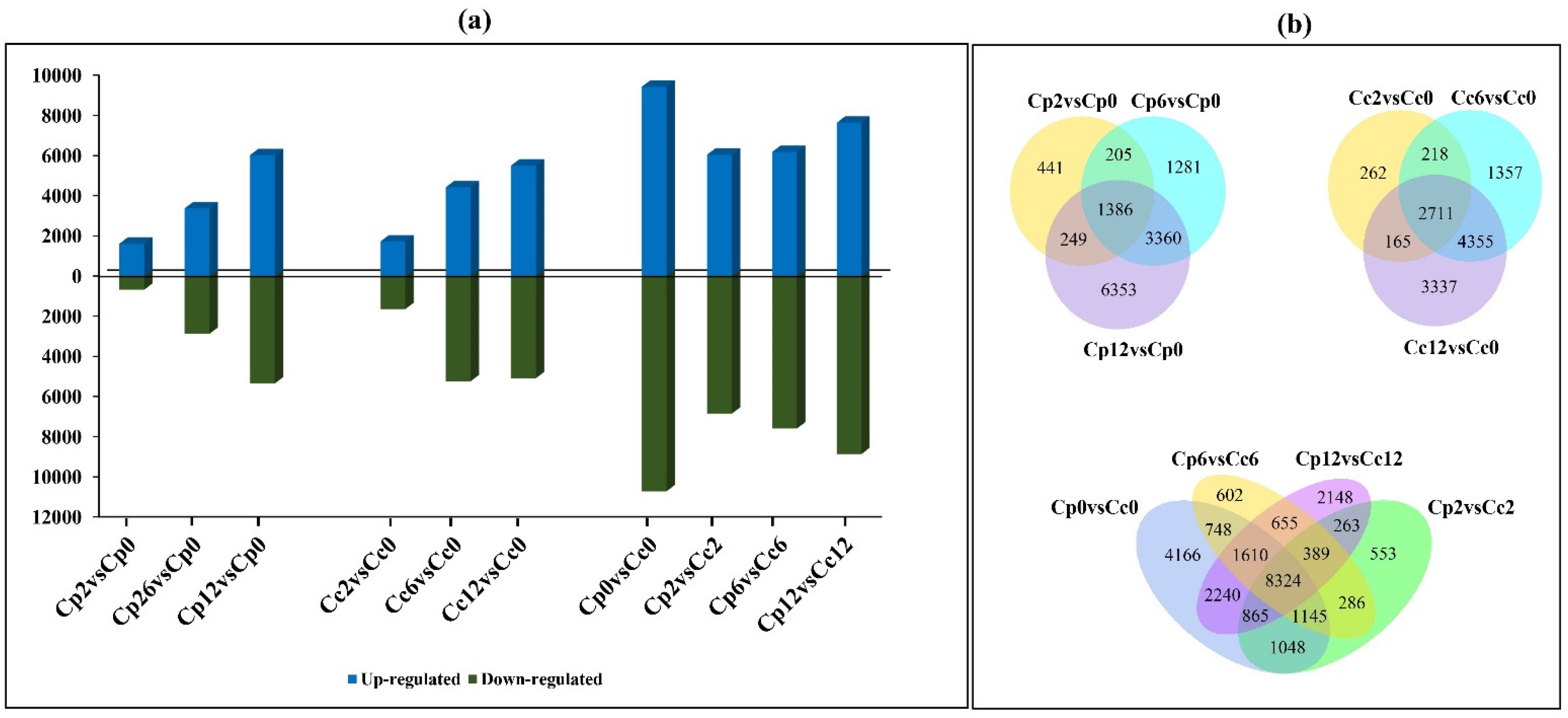 Ijms 23 06683 g002 550