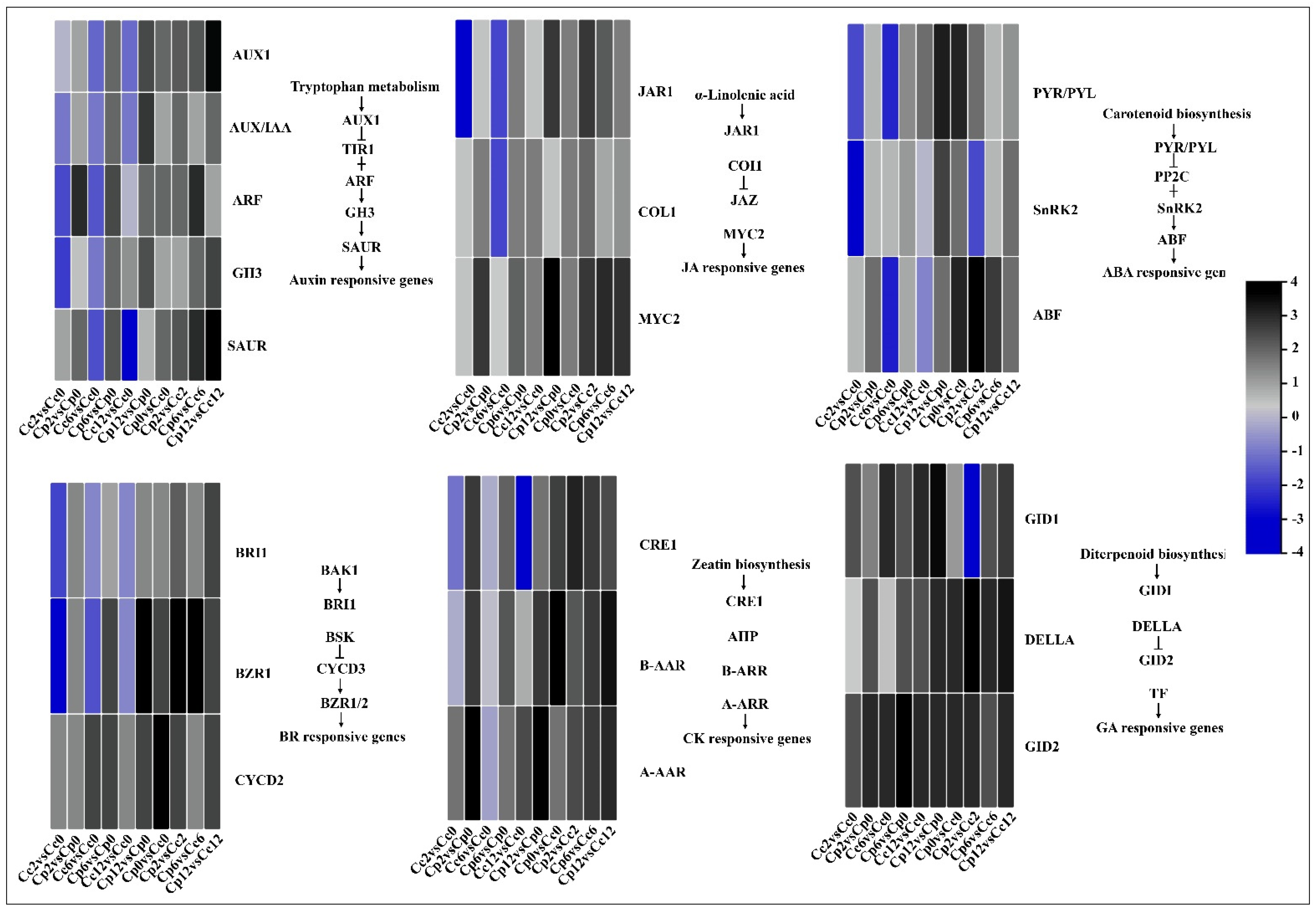 Ijms 23 06683 g007 550