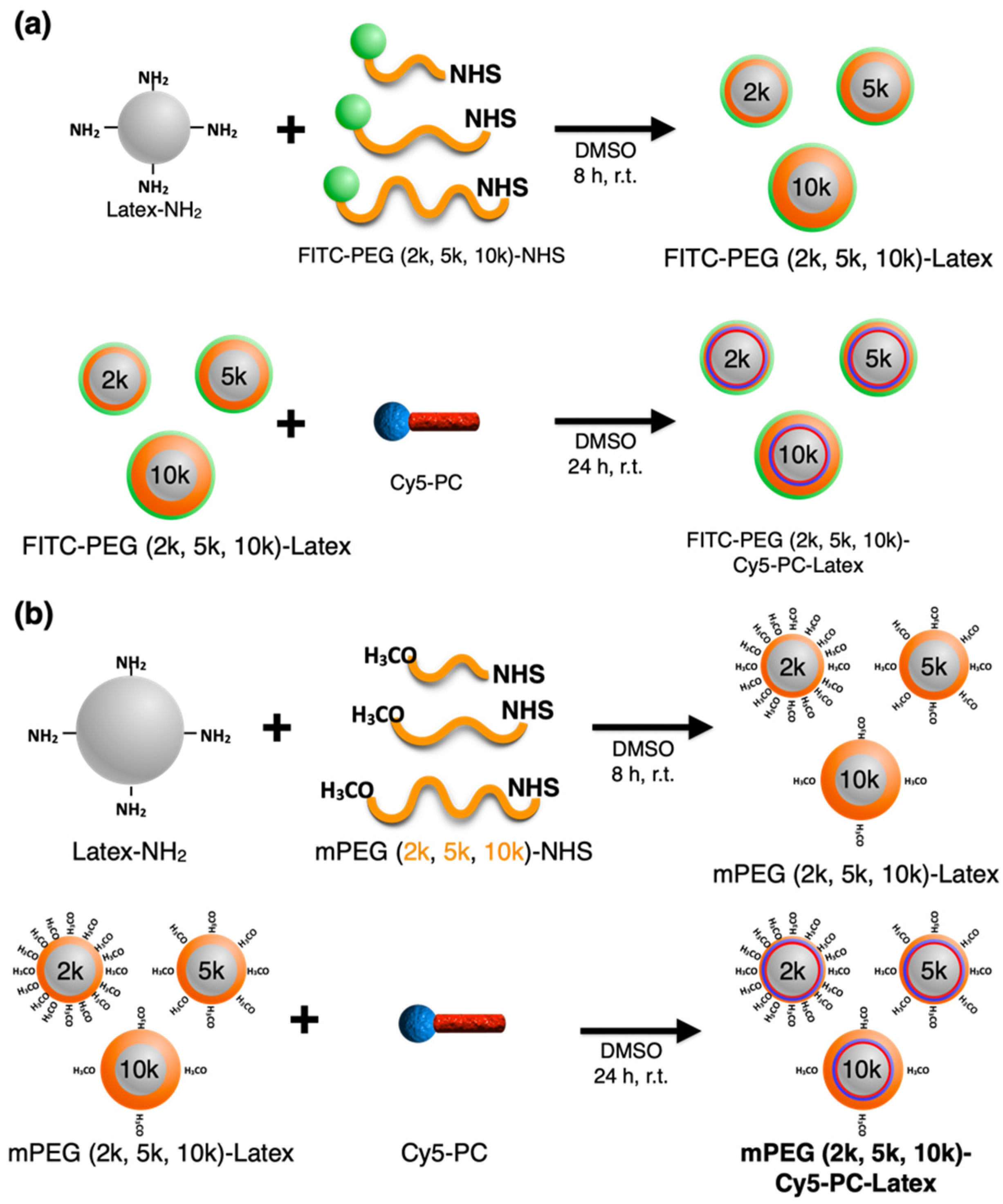 Ijms 23 06686 g001 550