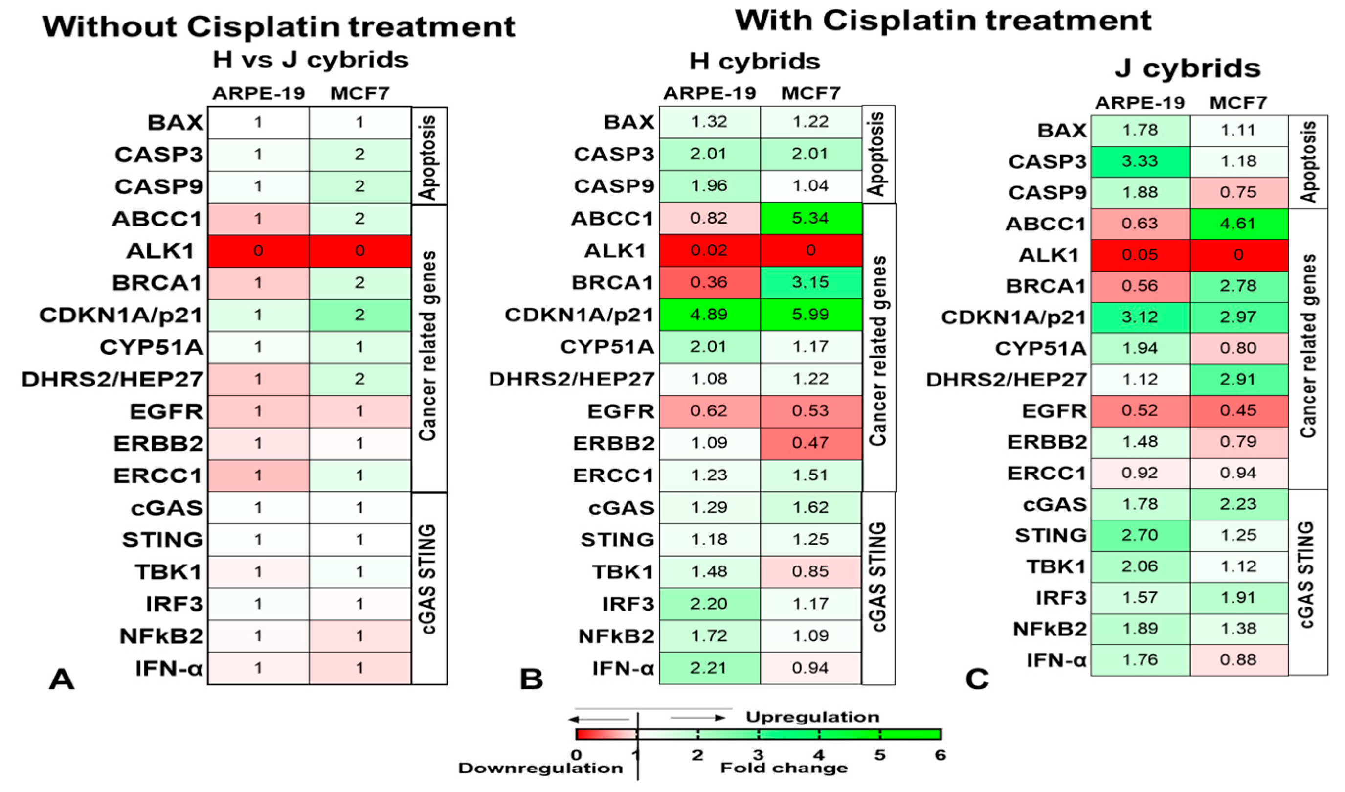 Ijms 23 06687 g004 Ijms 23 06687 g004