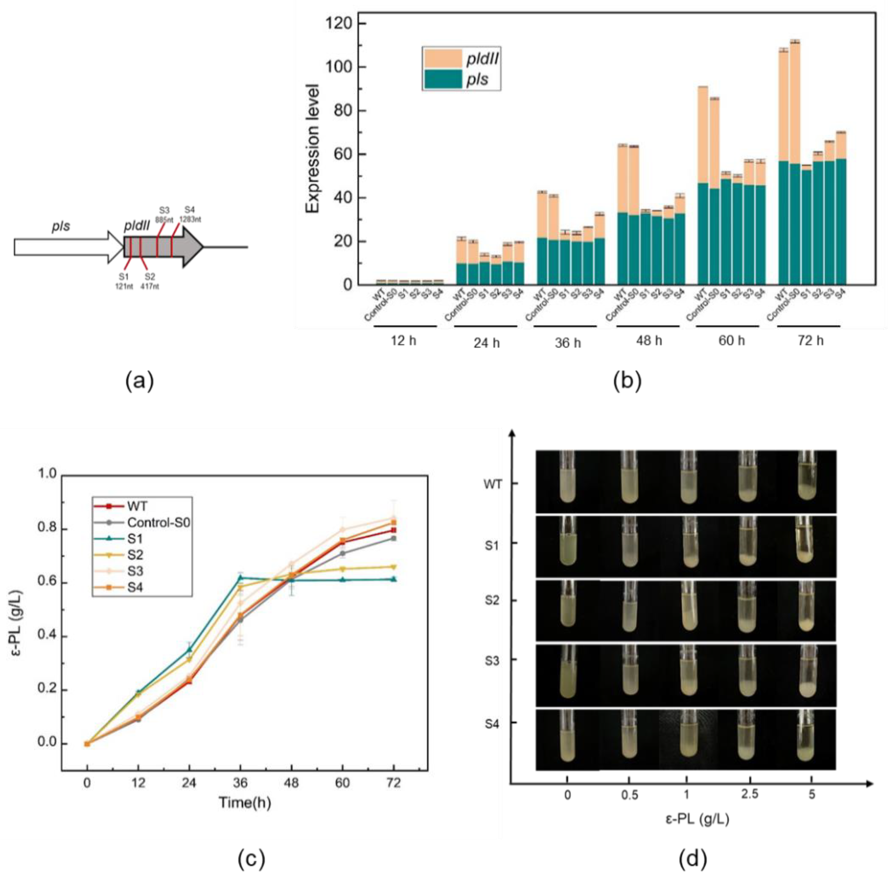 Ijms 23 06691 g001 550