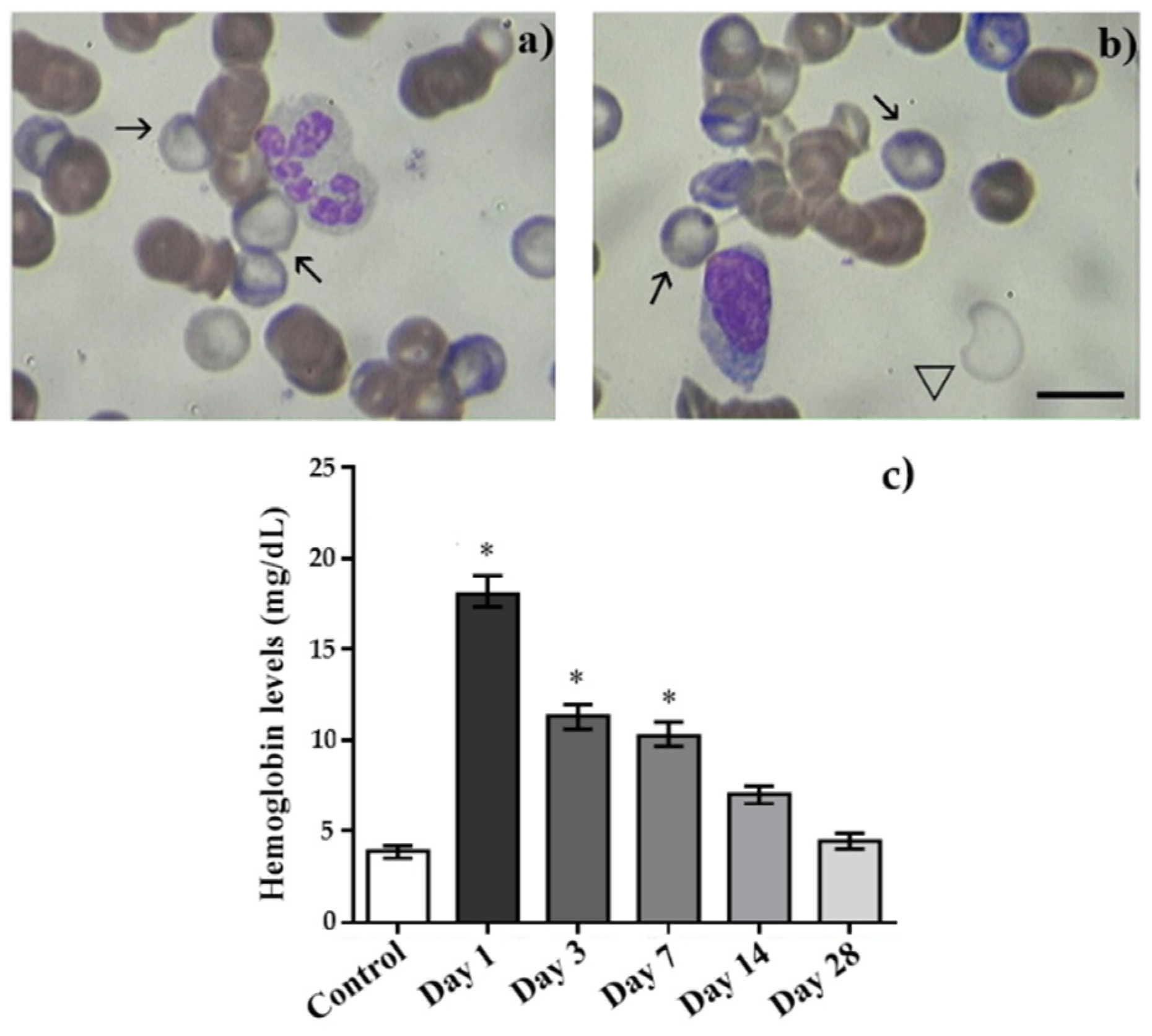 Ijms 23 06692 g005 Ijms 23 06692 g005